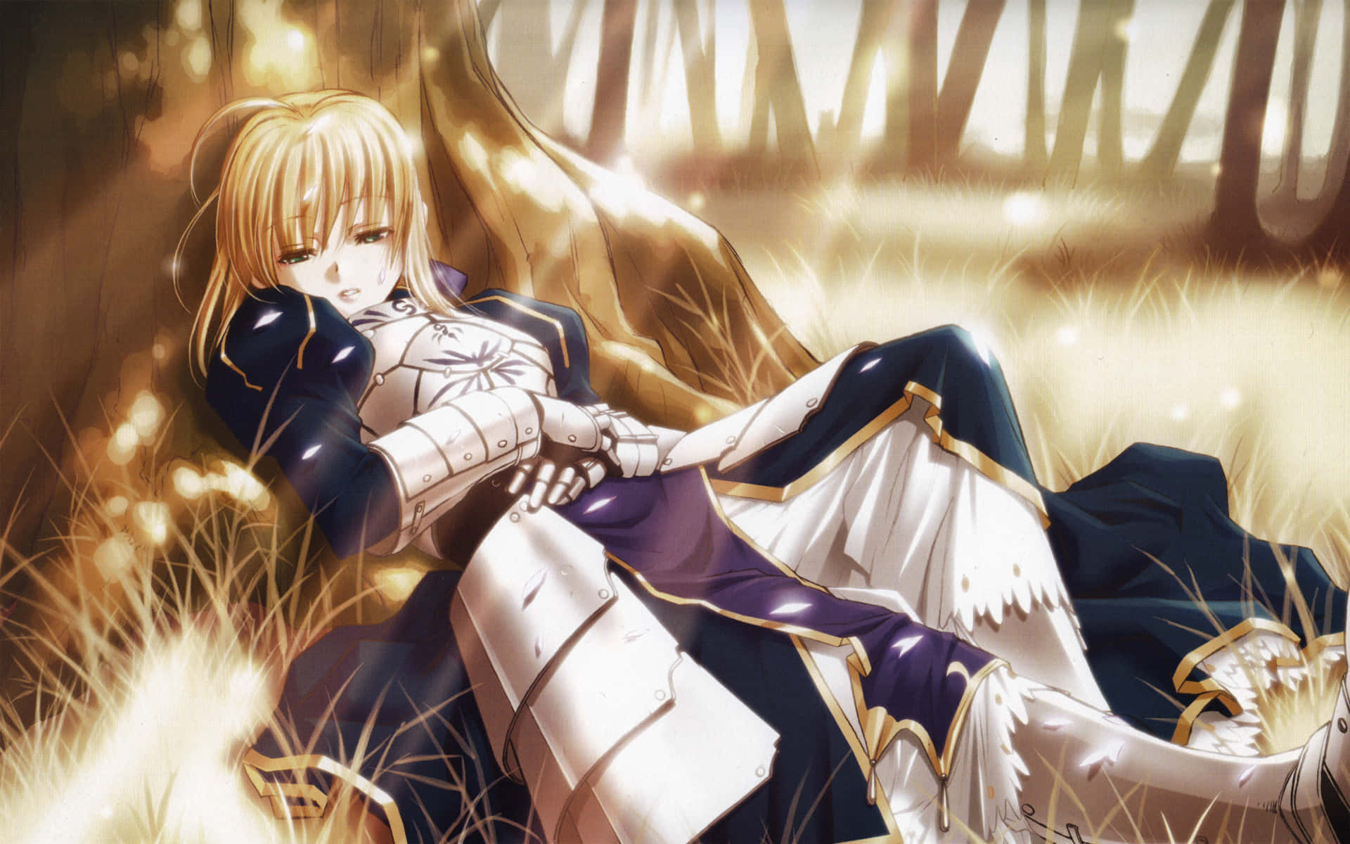 Saber Fate Stay Night 桌布 壁紙 — 一位金髮動漫少女身穿華麗盔甲，在溫暖的森林光線下，於金色草地上安詳休息。