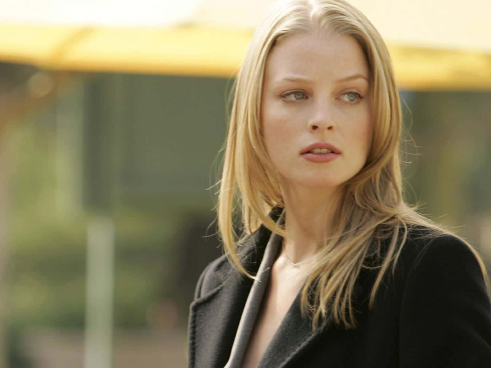 rachel nichols 桌布 壁紙 — 一位金髮女子身穿黑色外套，在柔和的日光下，身後有模糊的綠色植物和黃色結構，若有所思地凝視戶外。