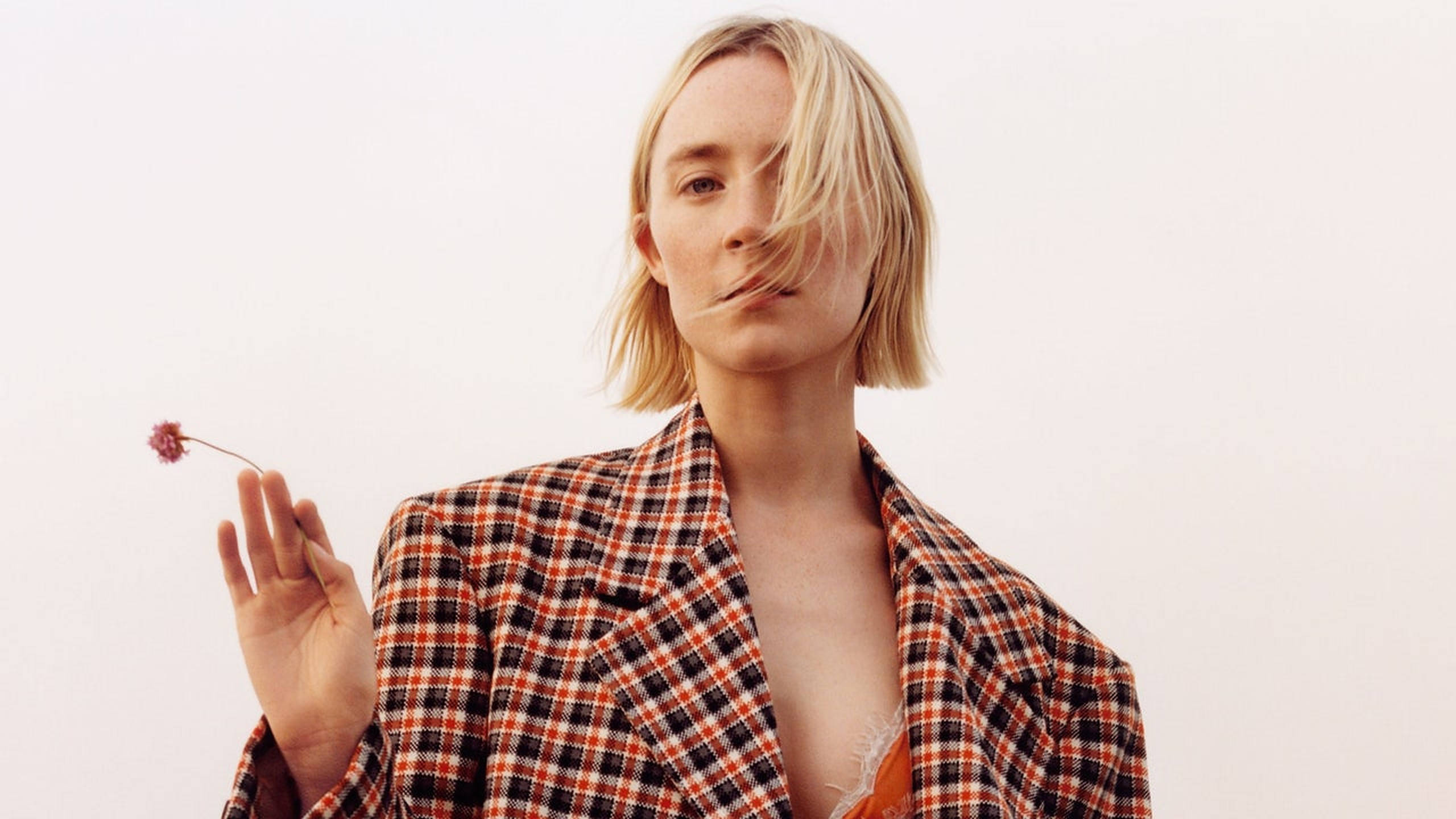 Saoirse Ronan 桌布 壁紙 — 一位金髮女性穿著紅黑格紋西裝外套，在純白背景前拿著一朵粉紅色小花。