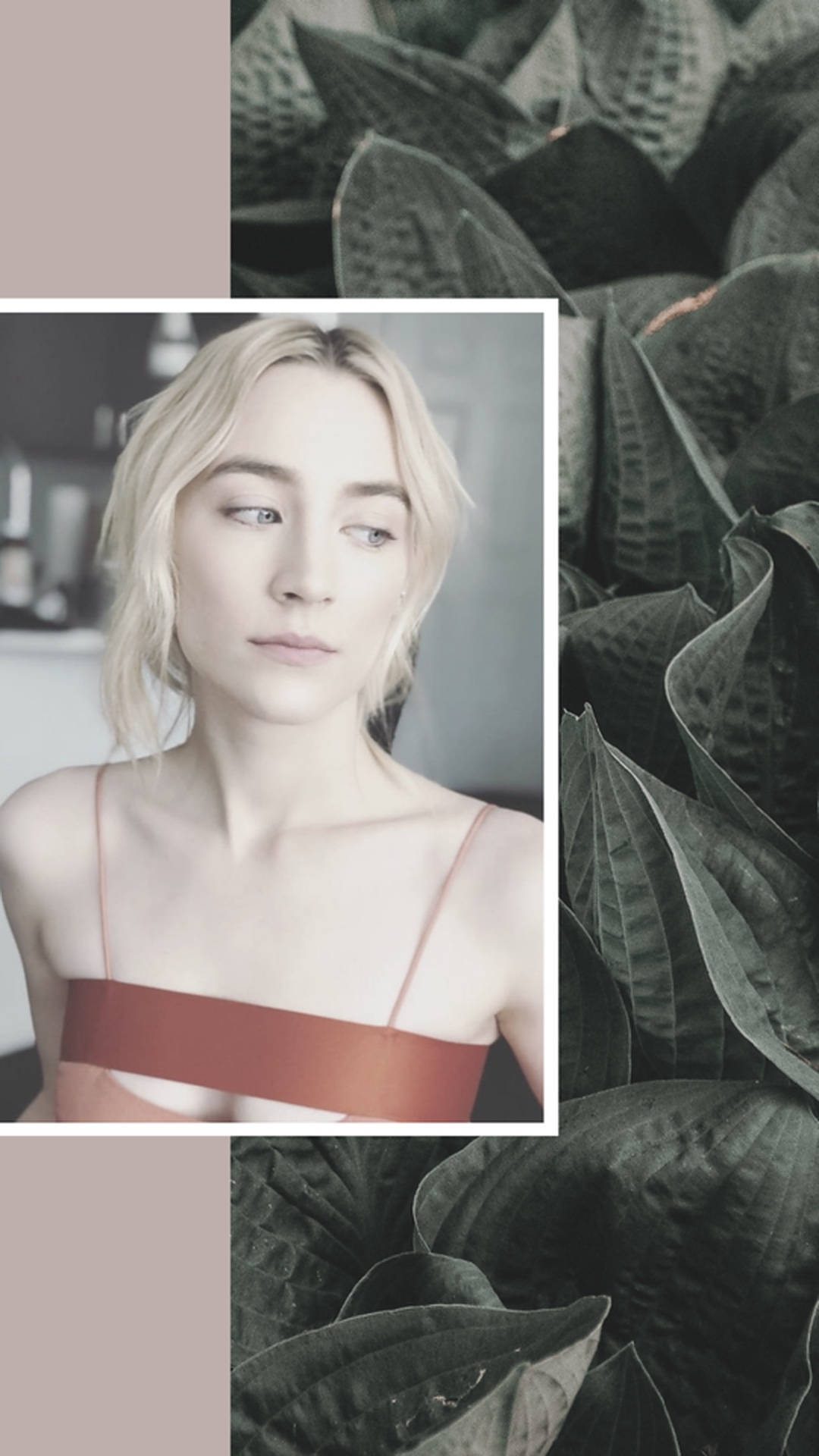 Saoirse Ronan 桌布 壁紙 — 一位金髮女性身穿鏽色上衣，在茂密深綠色樹葉和柔和紫紅色面板的背景前若有所思地凝視著。