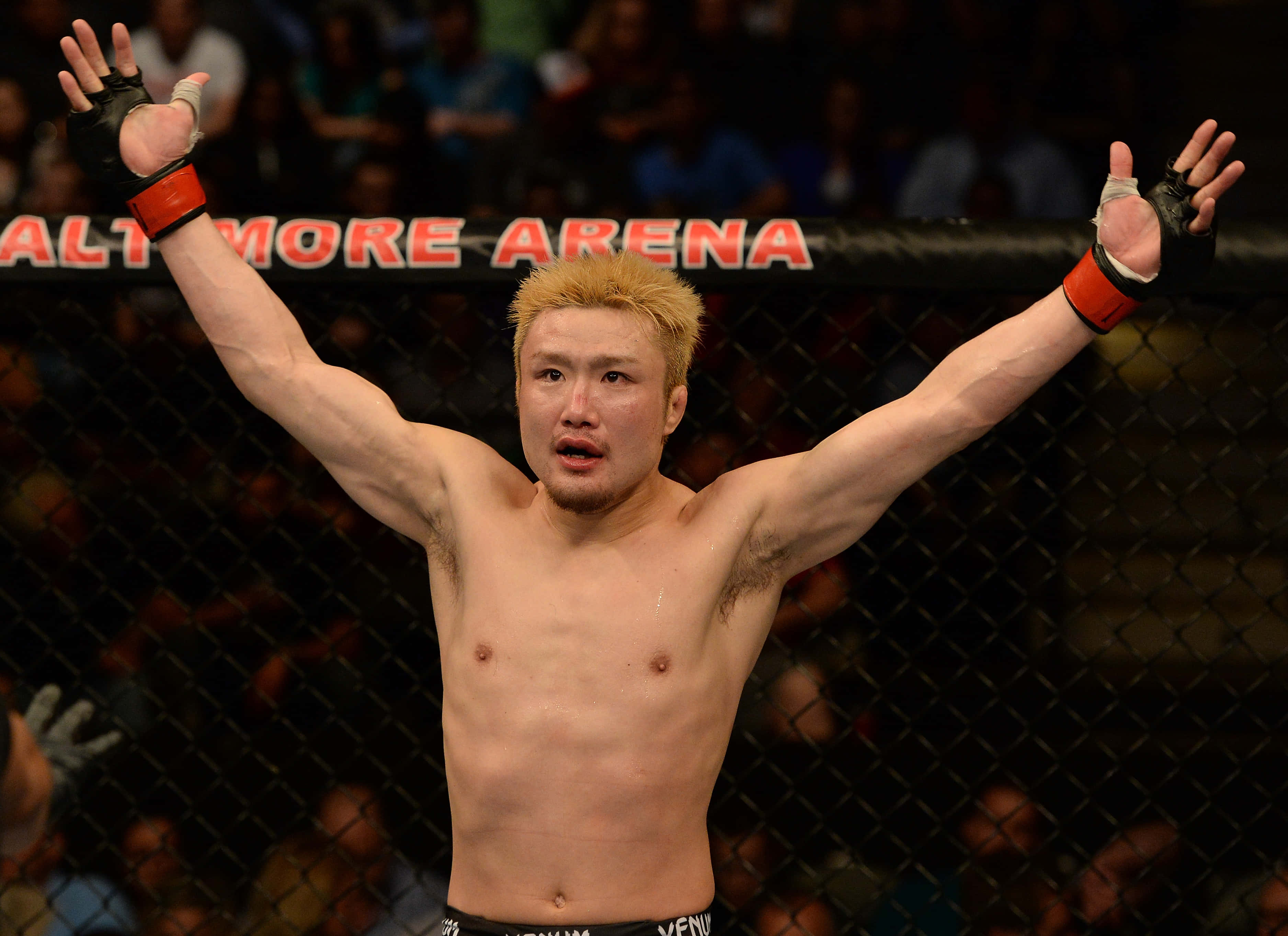 UFC 桌布 壁紙 — 一位金髮的綜合格鬥勝利者在巴爾的摩競技場的籠內高舉雙臂慶祝勝利。