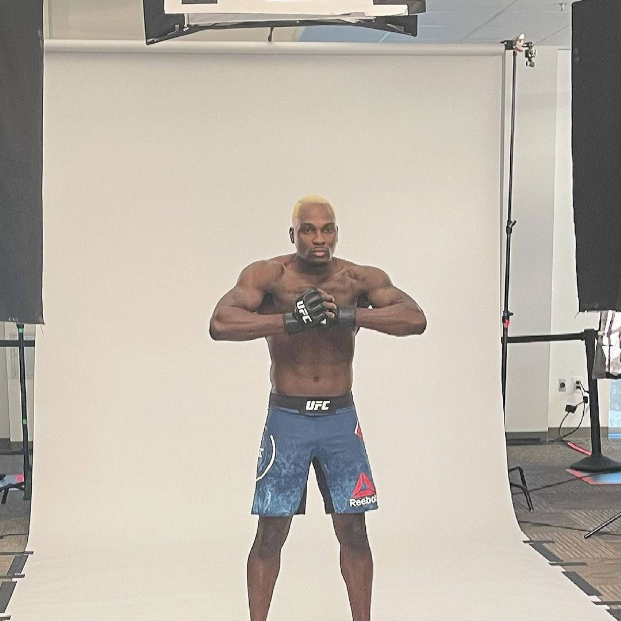 Champion 桌布 壁紙 — 一位金髮肌肉發達的戰士穿著藍色UFC短褲和手套，在白色工作室背景前擺出戰鬥姿勢。