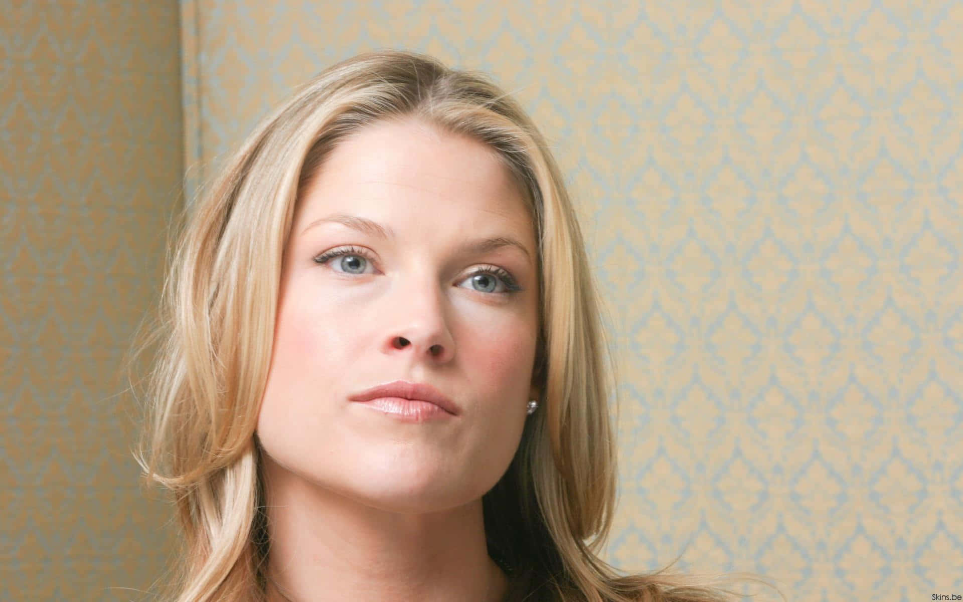 ali larter 桌布 壁紙 — 一位金髮藍眼女子的特寫肖像，凝視前方，背景為圖案壁紙。
