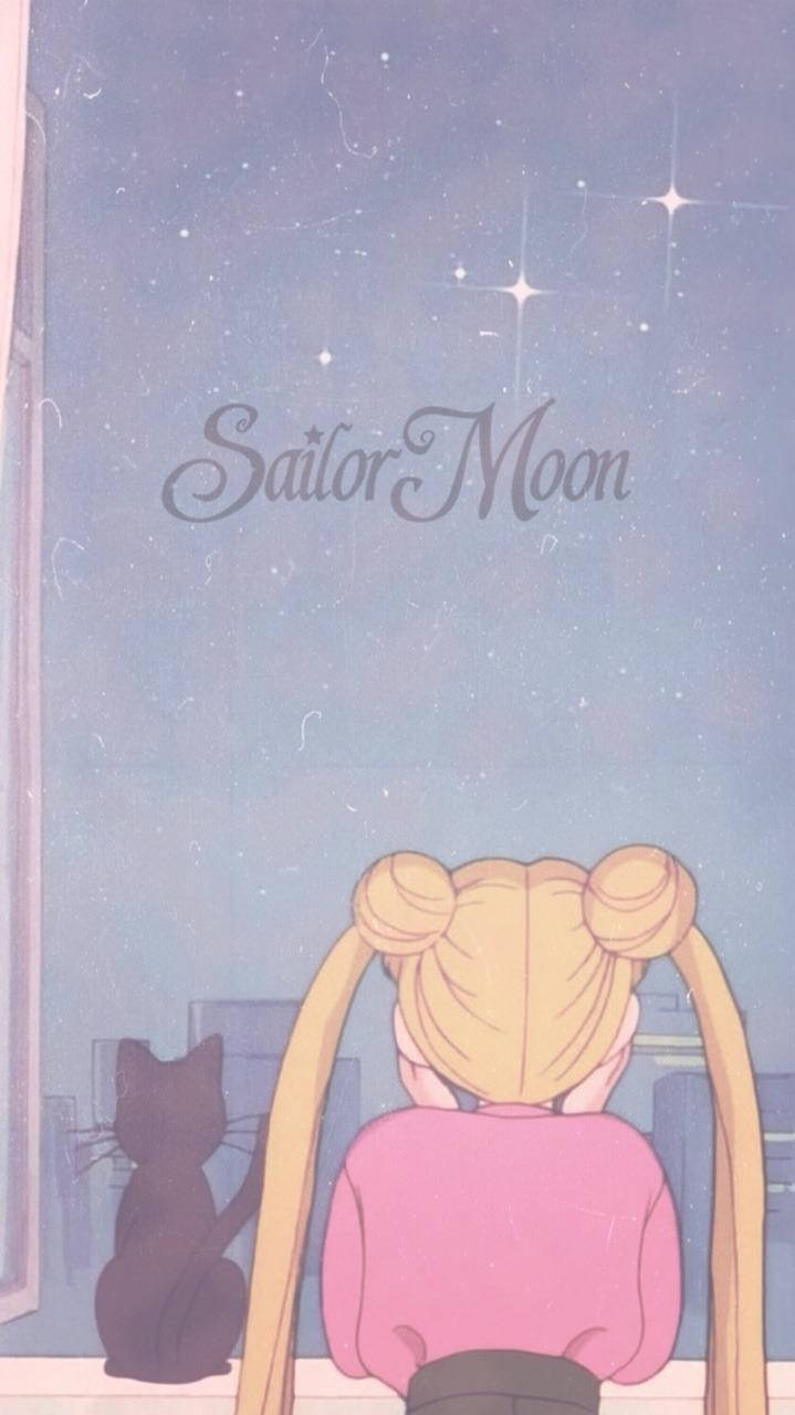 金髮雙丸子頭的動畫女孩和黑貓透過窗戶凝視著星空暮色天空。