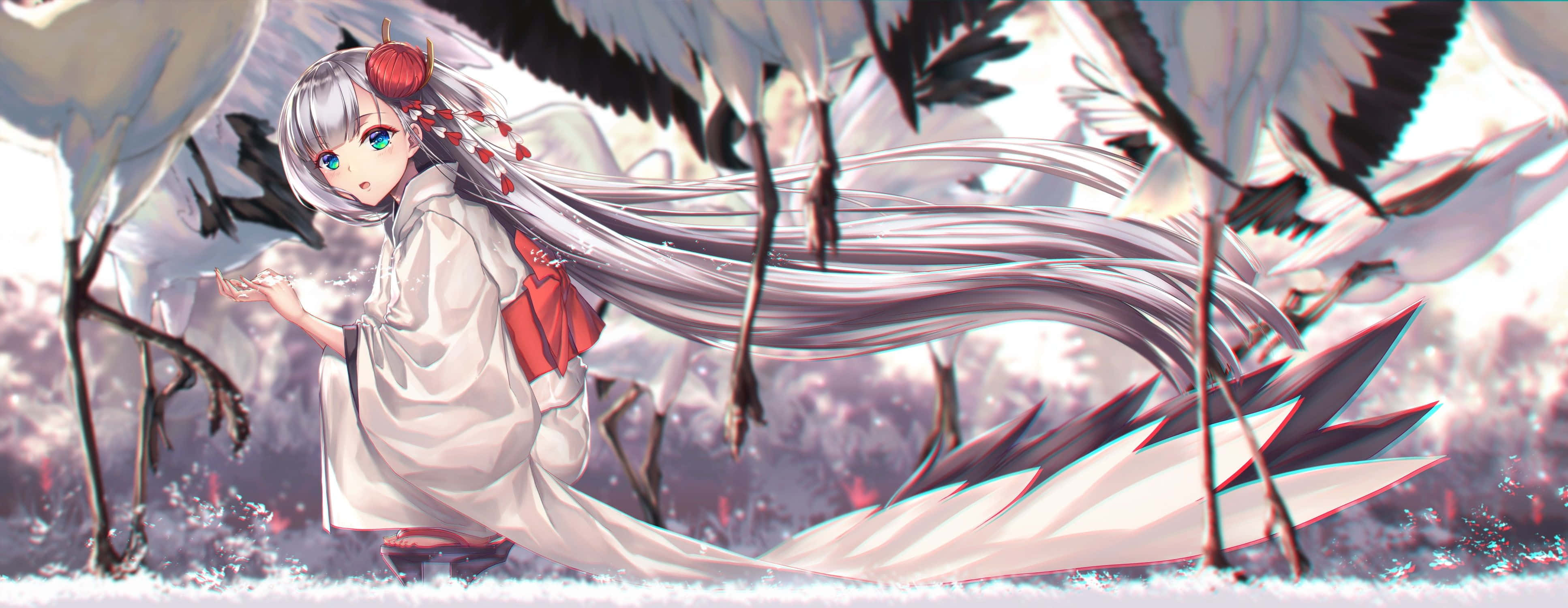 Anime White 桌布 壁紙 — 一位銀髮動漫少女身穿白色和服，跪在雪鶴之中，雙手伸出。