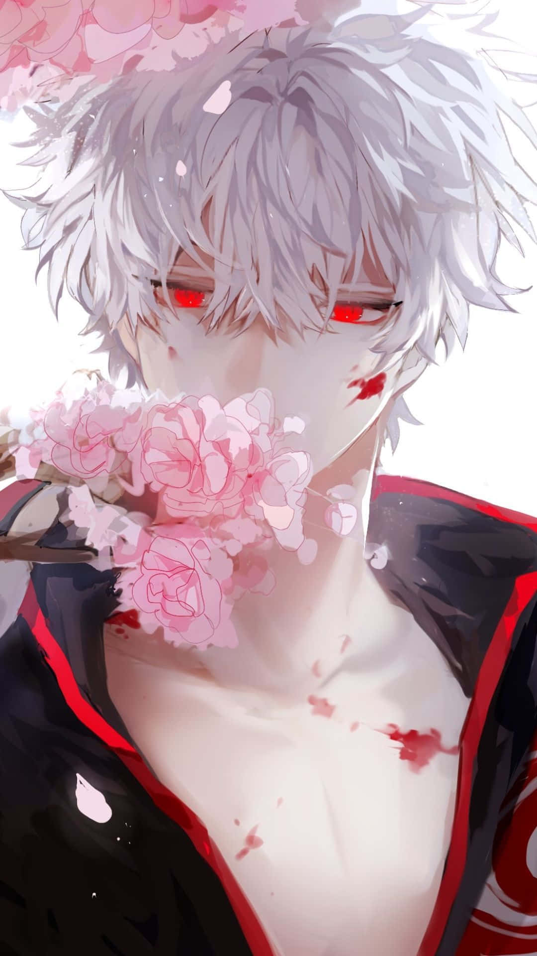 Cute Anime Boys 桌布 壁紙 — 一位銀髮紅眼的動漫角色在明亮的白色背景前手持粉紅色的櫻花。