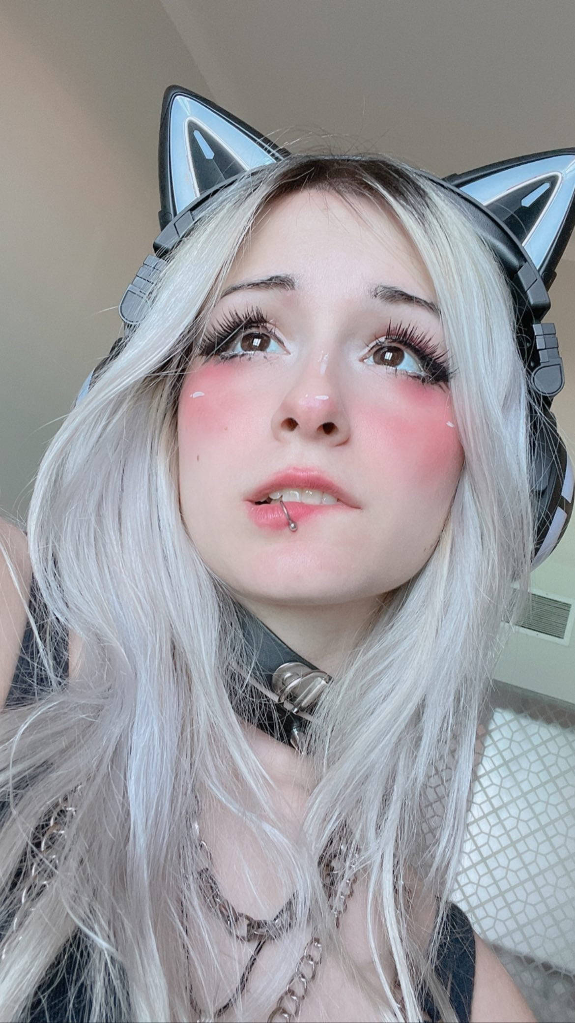 cosplay 桌布 壁紙 — 一位銀髮貓耳的人向上看，帶有柔和粉紅腮紅和唇環。