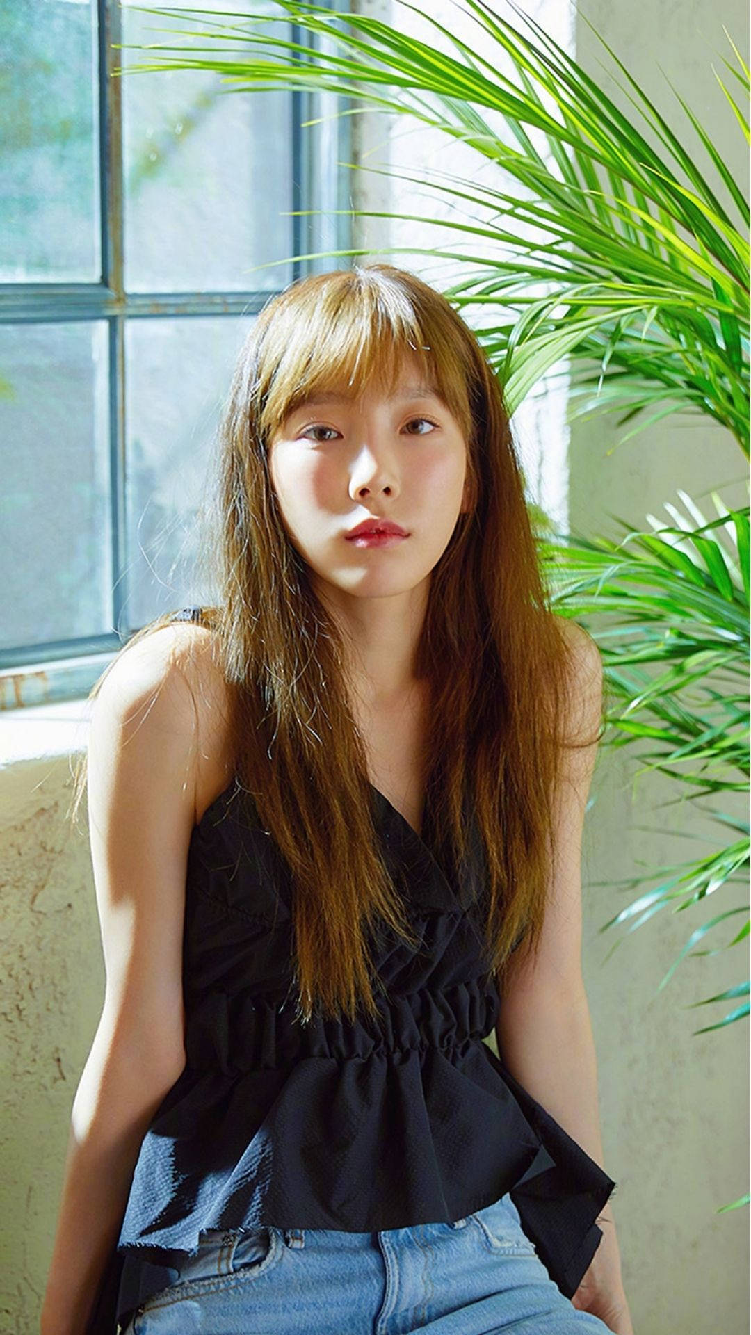 태연 桌布 壁紙 — 一位長著棕色長髮的年輕女子坐在窗邊，沐浴在柔和自然光中，旁邊是一棵茂盛的綠色棕櫚植物。