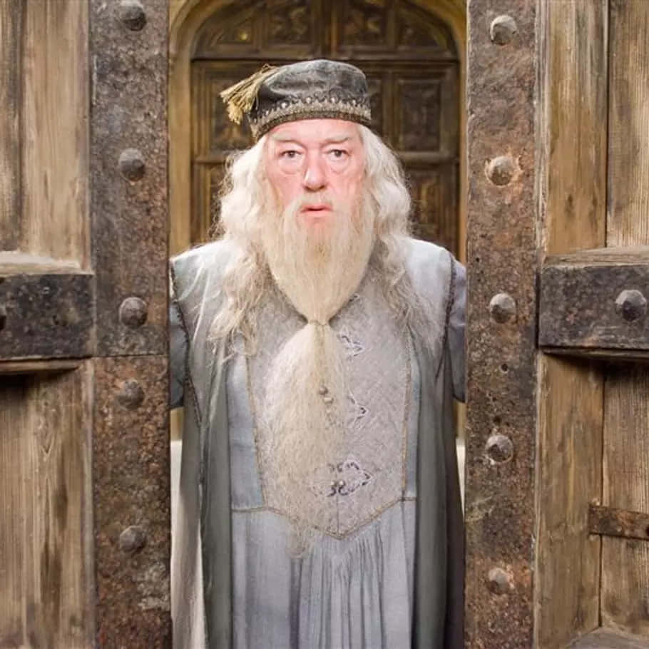 The Hogwarts Professors 桌布 壁紙 — 一位長著白色長鬍鬚的巫師站在沉重的木門前，穿著灰色長袍和帽子。