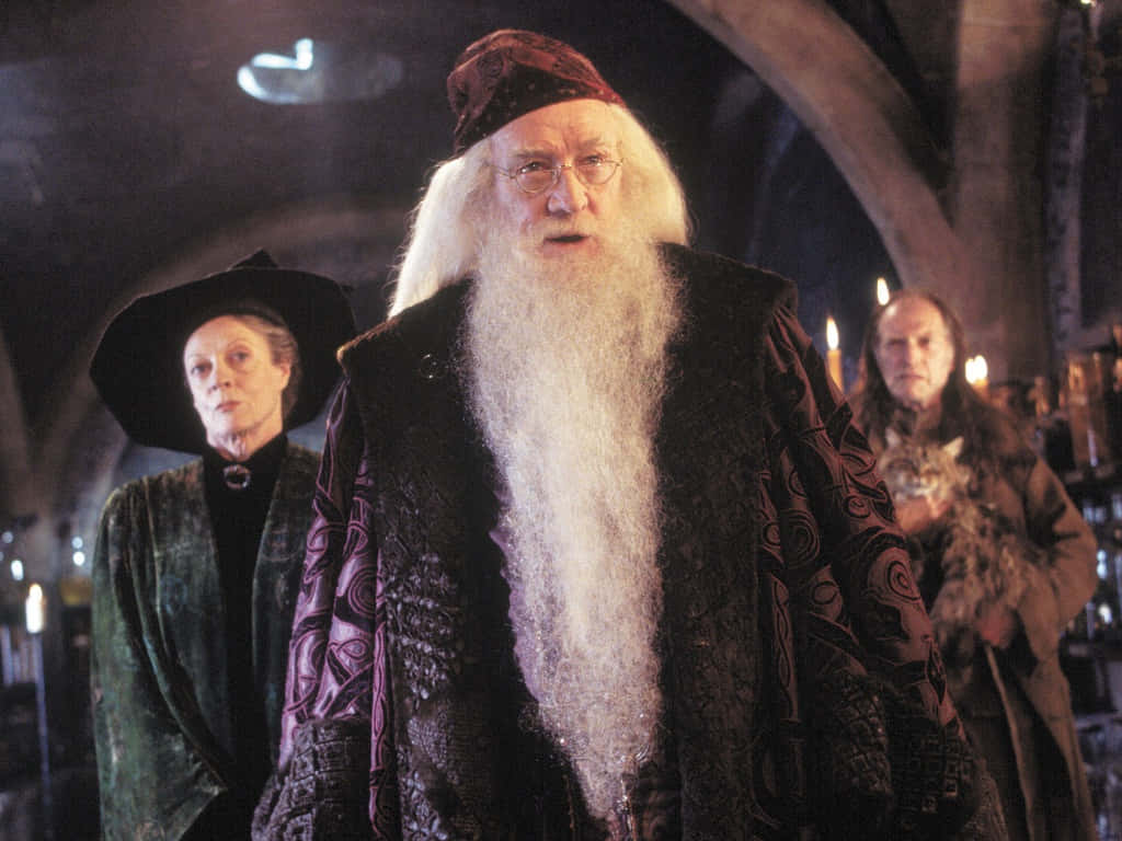 The Hogwarts Professors 桌布 壁紙 — 一位長著長長白鬍鬚、戴著眼鏡的年長巫師，站在一個光線昏暗的石廳中，燭光搖曳，附近有兩位同伴。