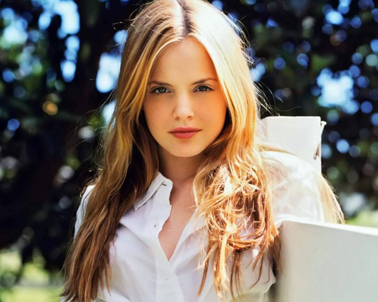 Actress HD 桌布 壁紙 — 一位長金髮的年輕女性穿著白色襯衫，在明亮的陽光下平靜地凝視鏡頭，身後是模糊的綠色樹葉。