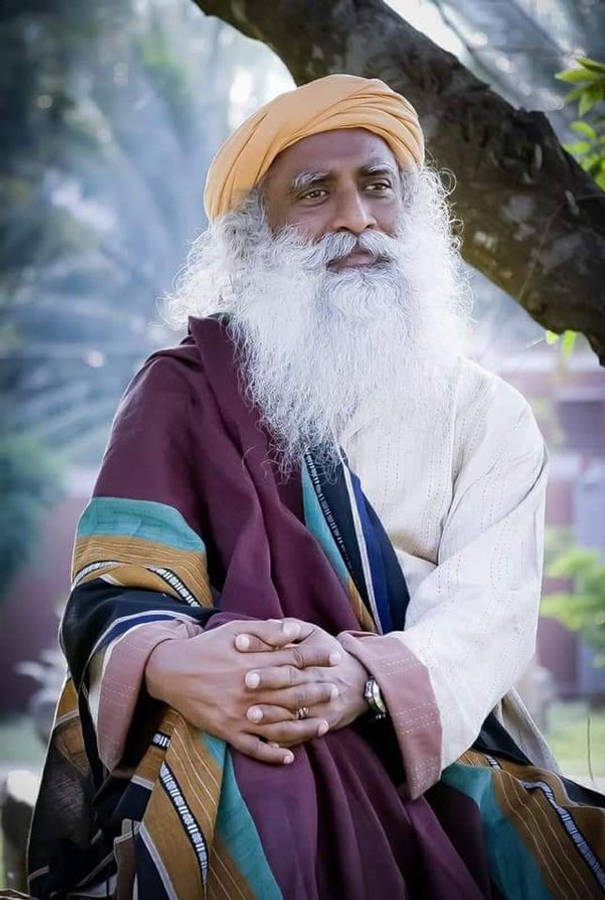 Sadhguru 桌布 壁紙 — 一位長長白鬍鬚、戴橙色頭巾的老聖人，穿著彩色長袍，平靜地坐在樹下。