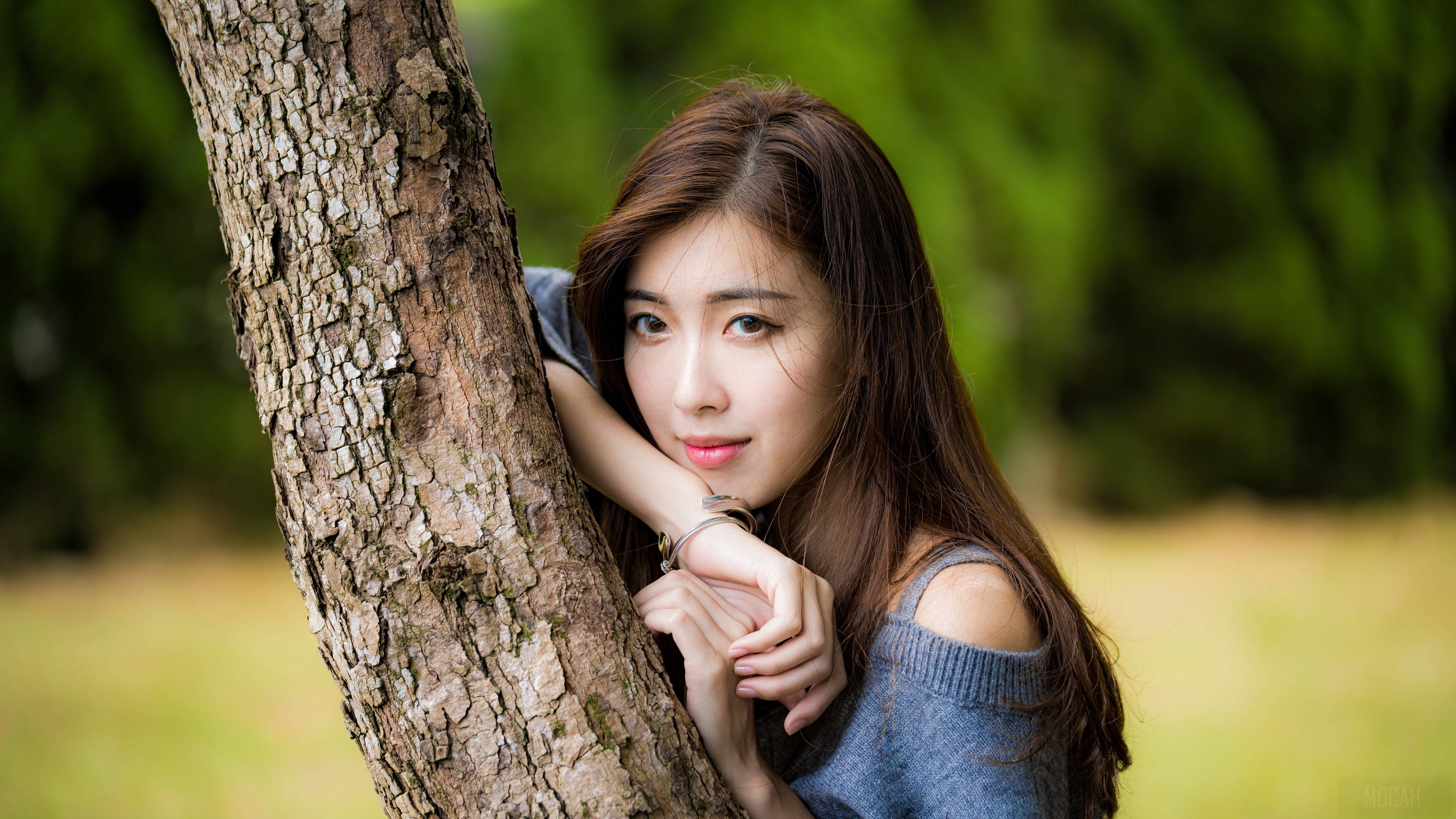 美女 桌布 壁紙 — 一位長髮棕色的年輕女子靠在陽光明媚的公園裡一棵有紋理的樹幹上，周圍是柔軟的綠色樹葉。