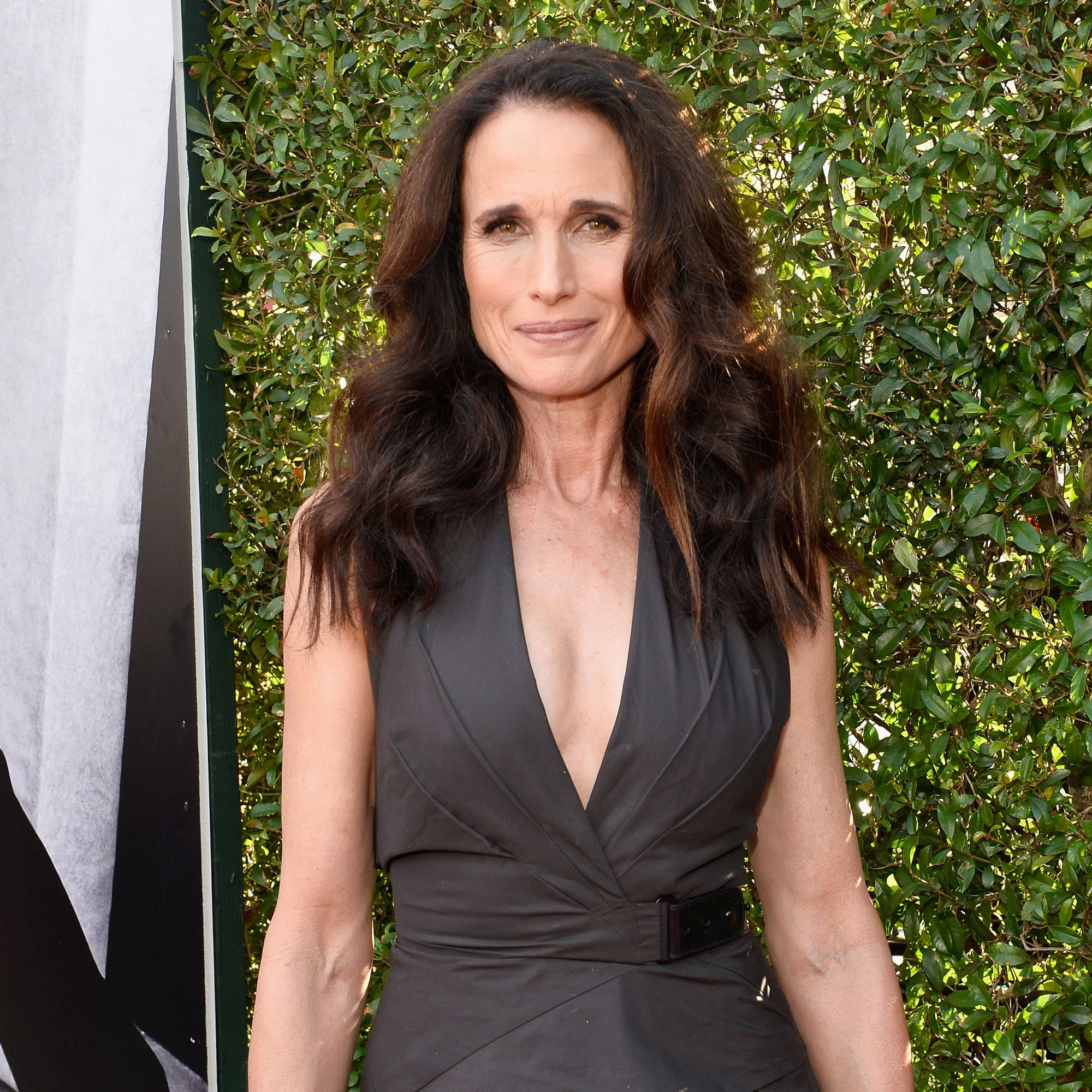andie macdowell 桌布 壁紙 — 一位長黑髮的女性，在茂密的綠色樹籬背景下穿著時尚的黑色連衣裙。