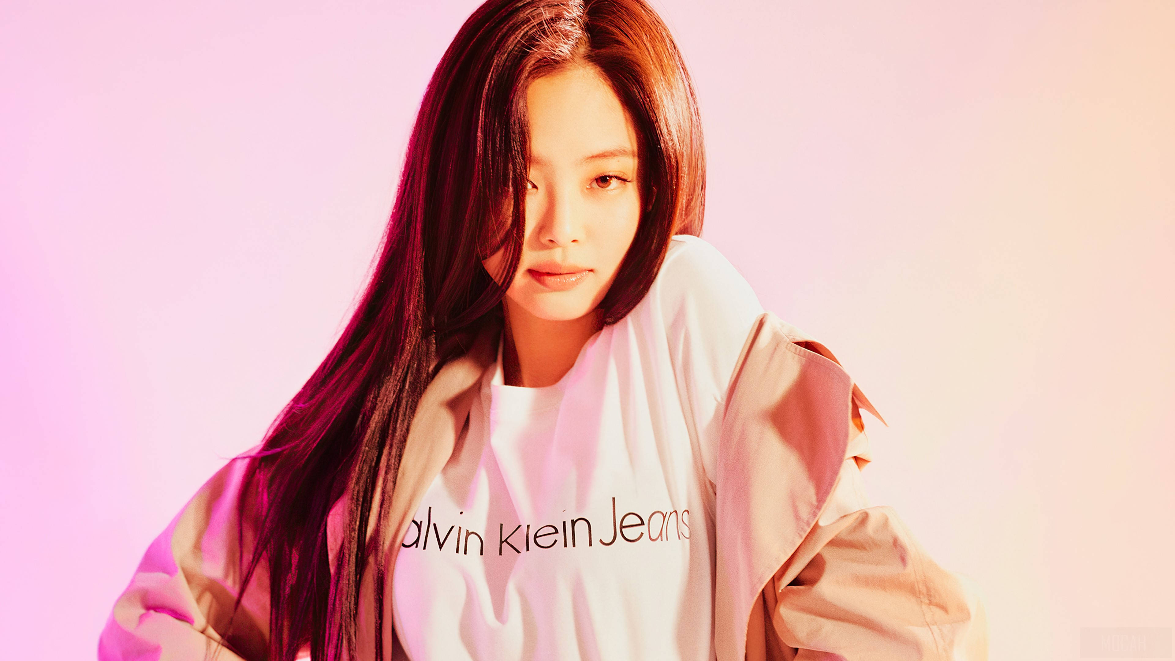 Klein 桌布 壁紙 — 一位長黑髮的年輕女性穿著白色Calvin Klein Jeans襯衫和米色外套，背景是柔和的粉紅和蜜桃漸變色。