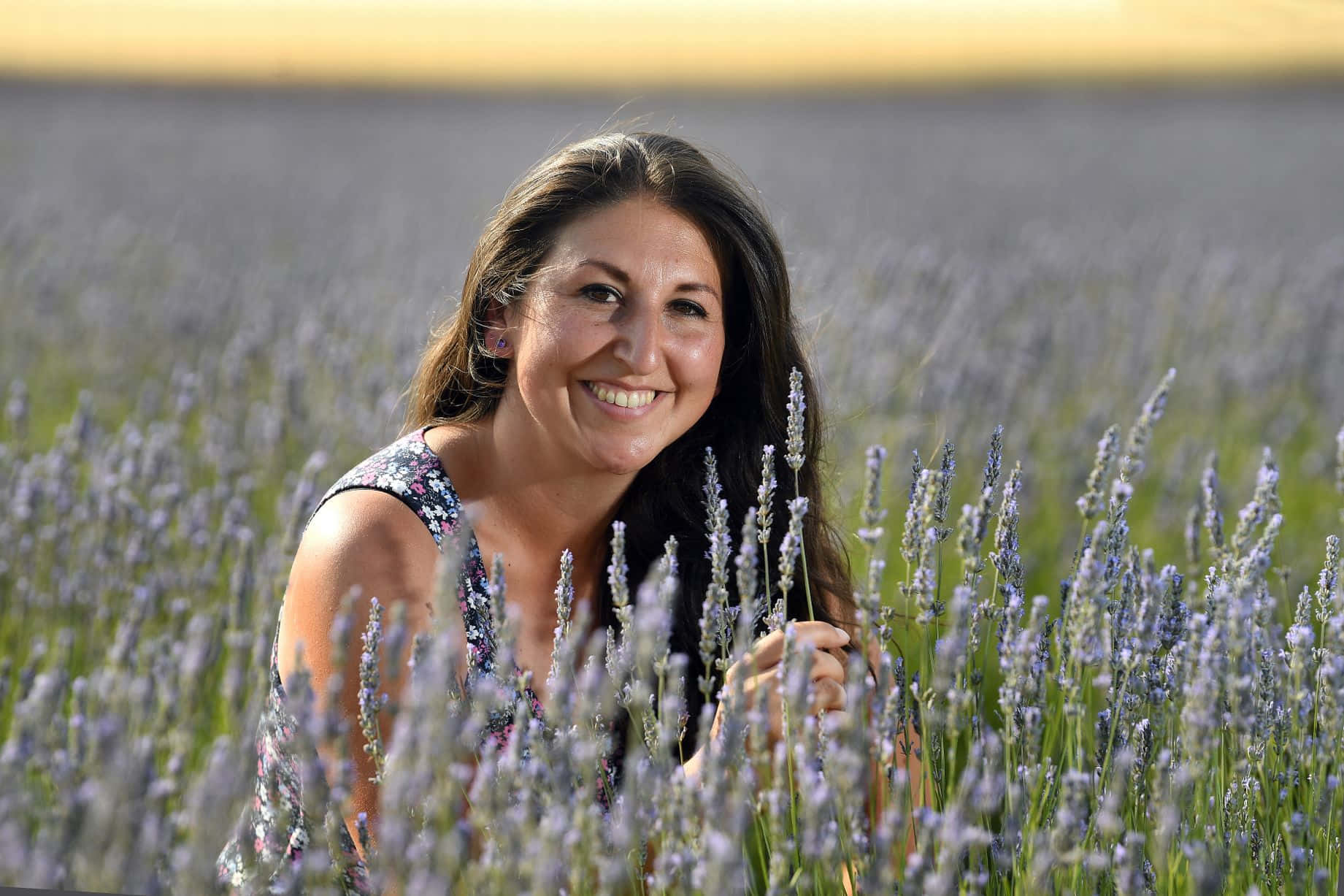 Lavender Field 桌布 壁紙 — 一位長黑髮的微笑女士在溫暖的金色天空下，快樂地站在高大的紫色薰衣草花叢中。