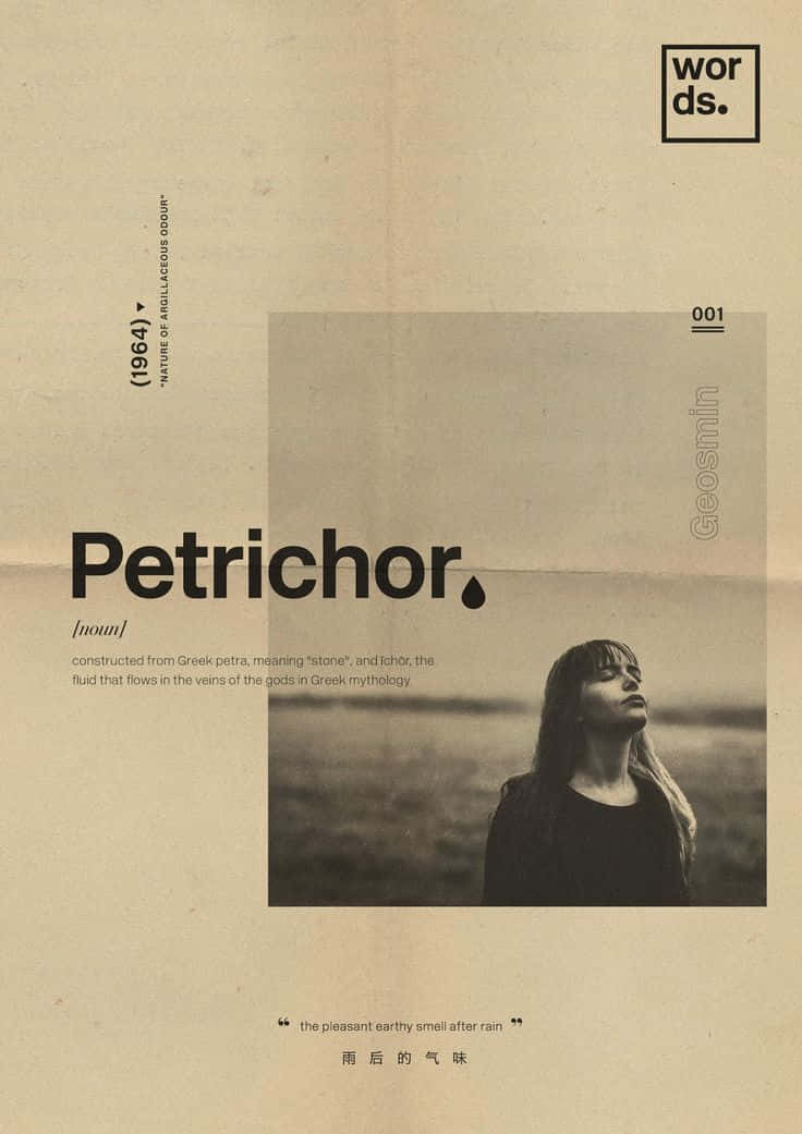Minimalist Typography 桌布 壁紙 — 一位閉眼女子站在廣闊天空下的田野中的黑白肖像，以舊紙上「Petrichor」的字體定義作為框架。