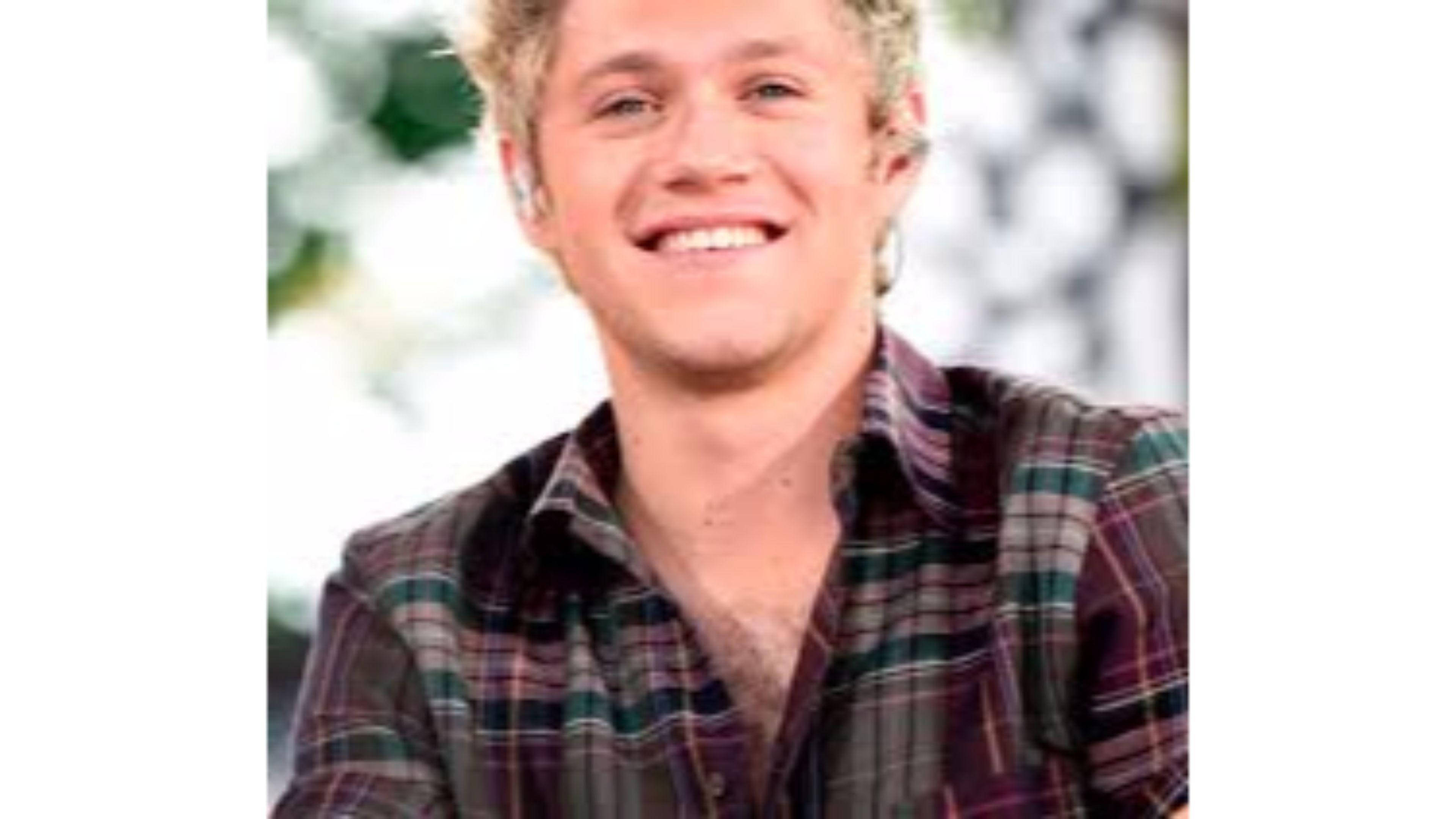 niall horan 桌布 壁紙 — 一位開朗的金髮年輕男子在戶外穿著格紋襯衫，露出溫暖的笑容。
