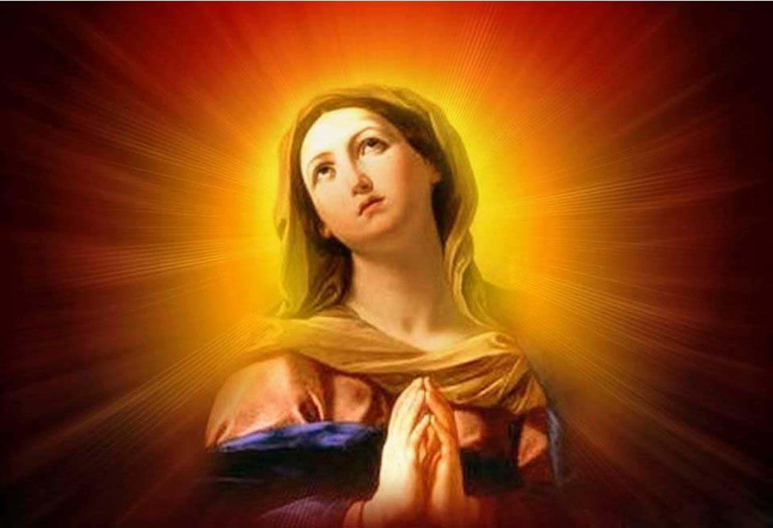 Mother Mary 桌布 壁紙 — 一位雙手合十的寧靜女子仰望上方，被燦爛的金光環繞，背景是深紅色。
