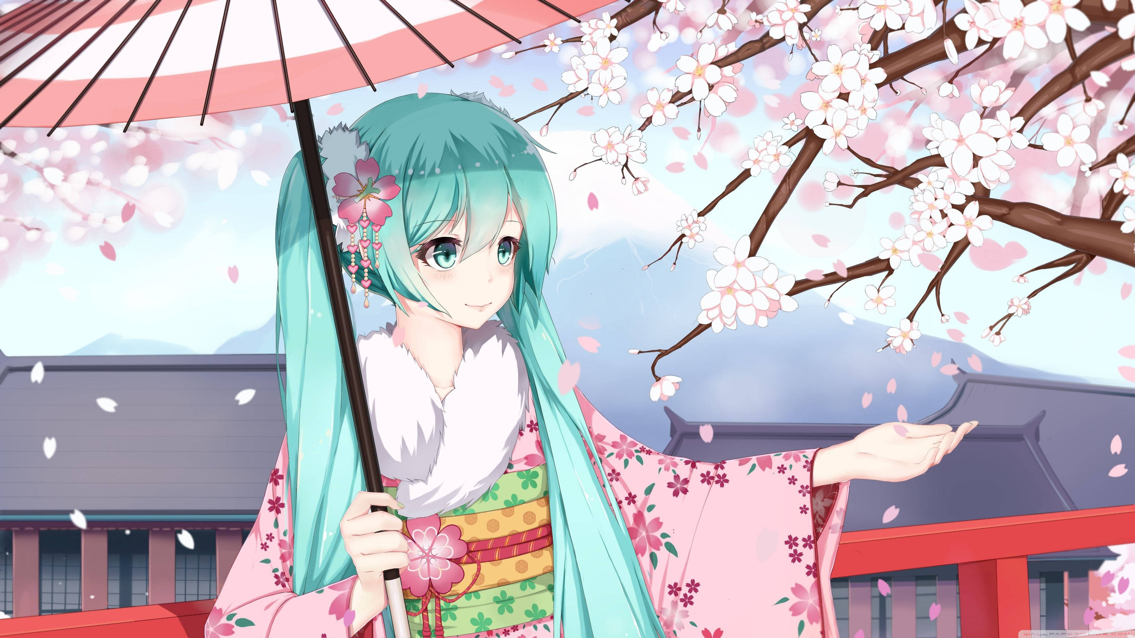miku 桌布 壁紙 — 一位青綠色頭髮的動漫女孩穿著粉紅色花卉和服，在傳統神社附近盛開的櫻花下撐著紅白相間的傘。