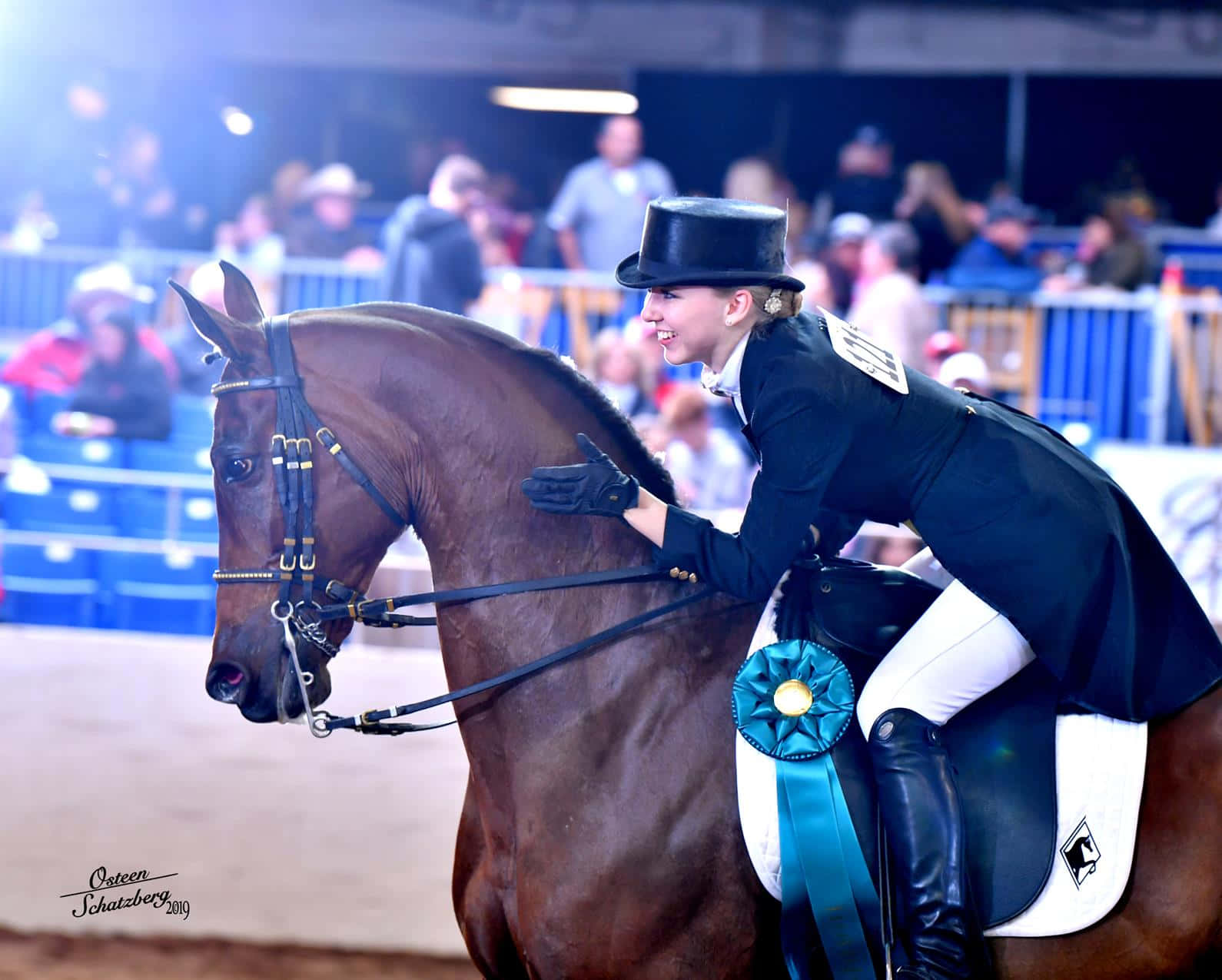 Arabian Horse 桌布 壁紙 — 一位面帶微笑的騎手身著正式服裝，自豪地與她的深棕色表演馬合影，馬匹上飾有藍色絲帶，在室內競技場中。
