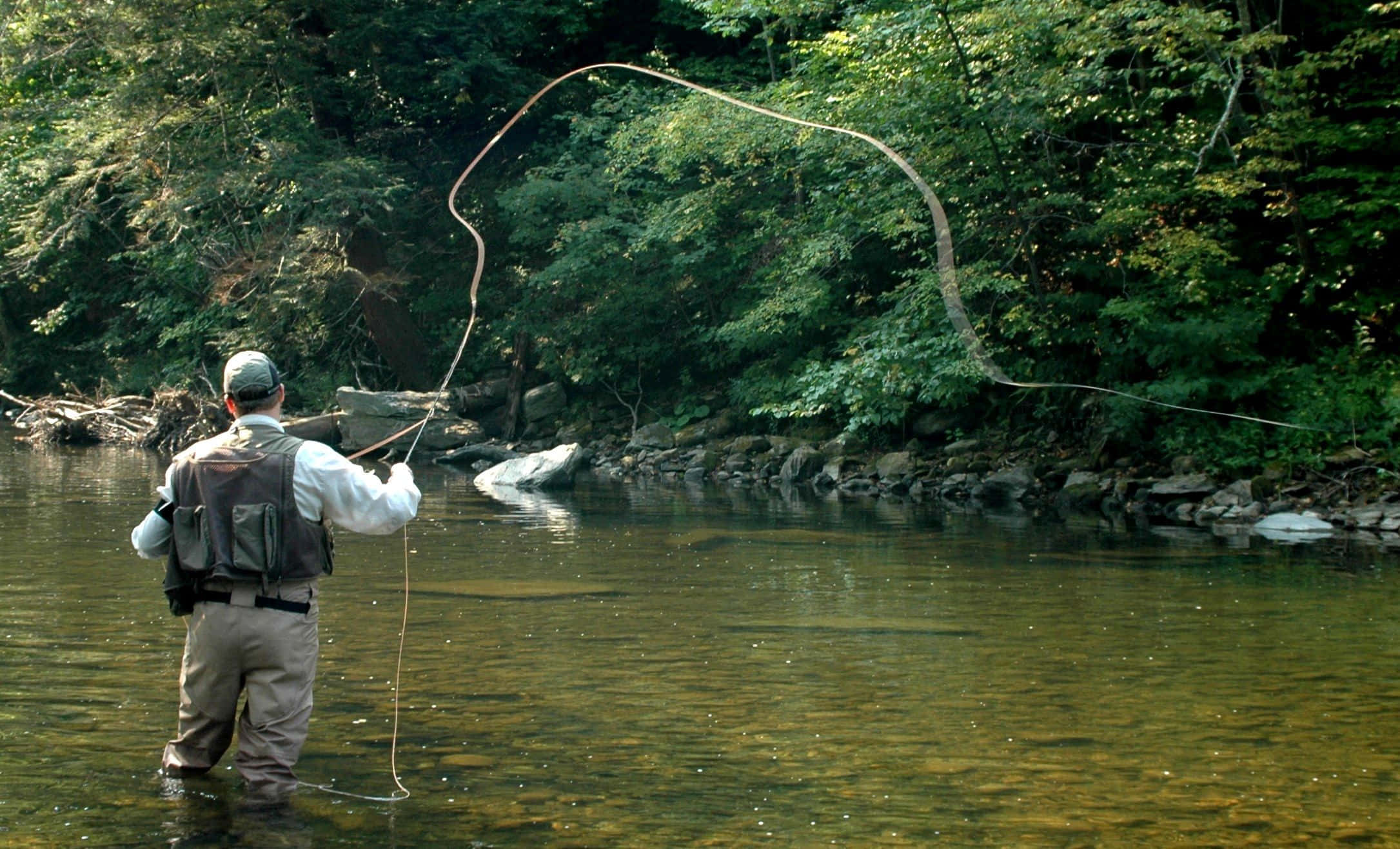 Fly Fishing 桌布 壁紙 — 一位飛蠅釣手在陽光明媚的森林河流中拋線，周圍環繞著茂密的綠樹和岩石。