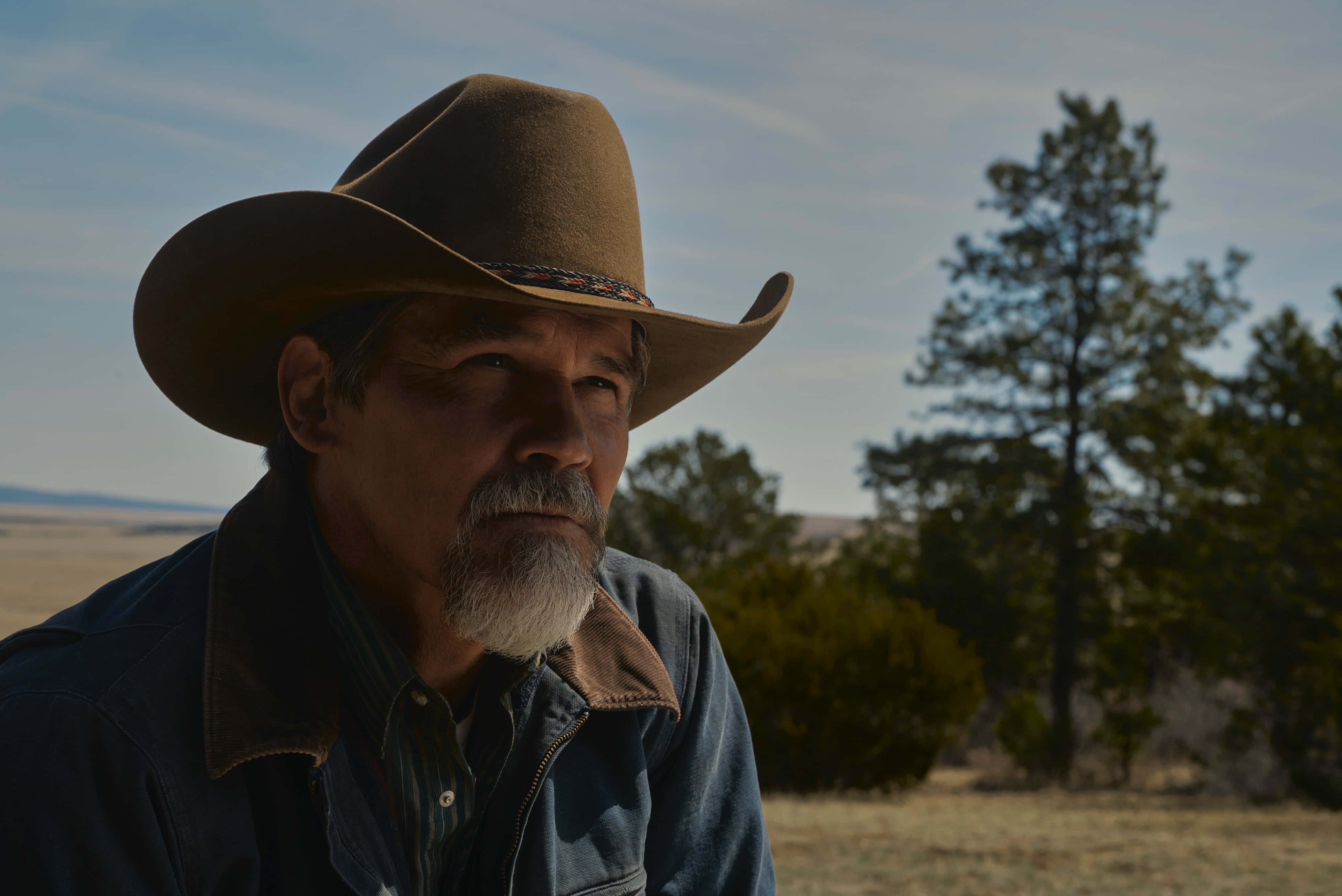 Josh Brolin 桌布 壁紙 — 一位飽經風霜的牛仔，留著白鬍子，戴著棕色帽子，在晴朗的天空下，以乾草和松樹為背景，若有所思地凝視著。