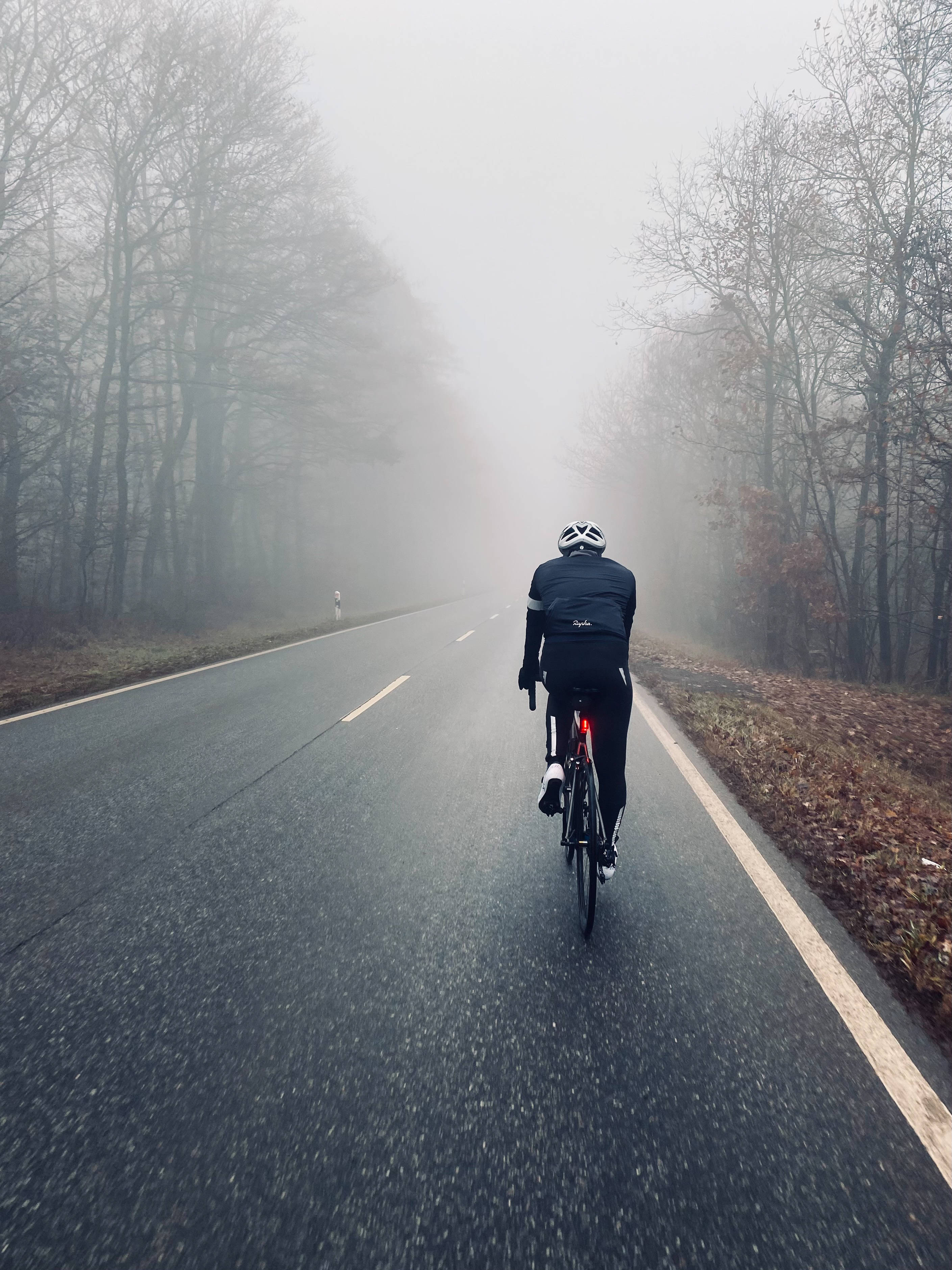 Bicycle 桌布 壁紙 — 一位騎自行車的人在寧靜的秋日早晨，獨自沿著一條霧氣瀰漫、兩旁光禿樹木的道路踩踏前進。