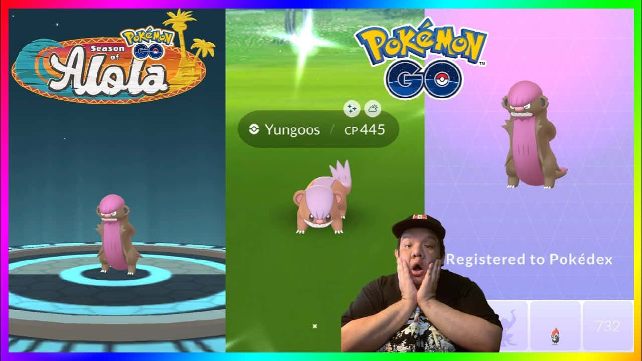 寶可夢 桌布 壁紙 — 一位驚訝的玩家在Pokémon GO的阿羅拉季節中捕捉到Yungoos時，伴隨著鮮豔的遊戲UI元素作出反應。