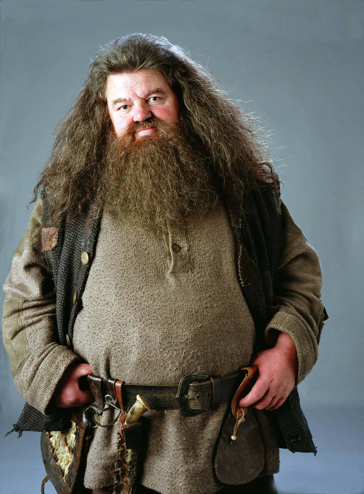 rubeus hagrid 桌布 壁紙 — 一位高大的巫師，留著長長的蓬鬆鬍鬚和狂野的頭髮，自信地穿著質感棕色長袍和補丁背心。