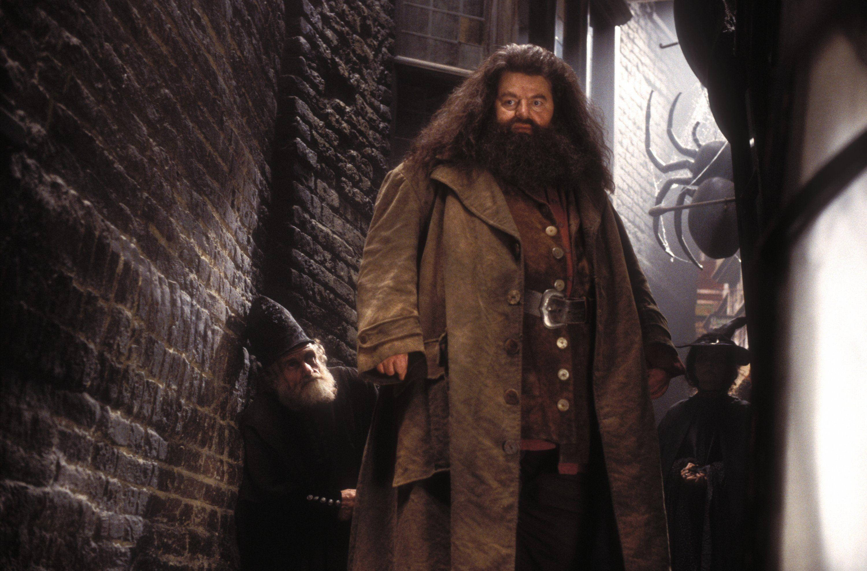 rubeus hagrid 桌布 壁紙 — 一位高大的巫師，留著長鬍鬚，穿著棕色外套，站在昏暗的磚砌小巷中，附近還有其他人。