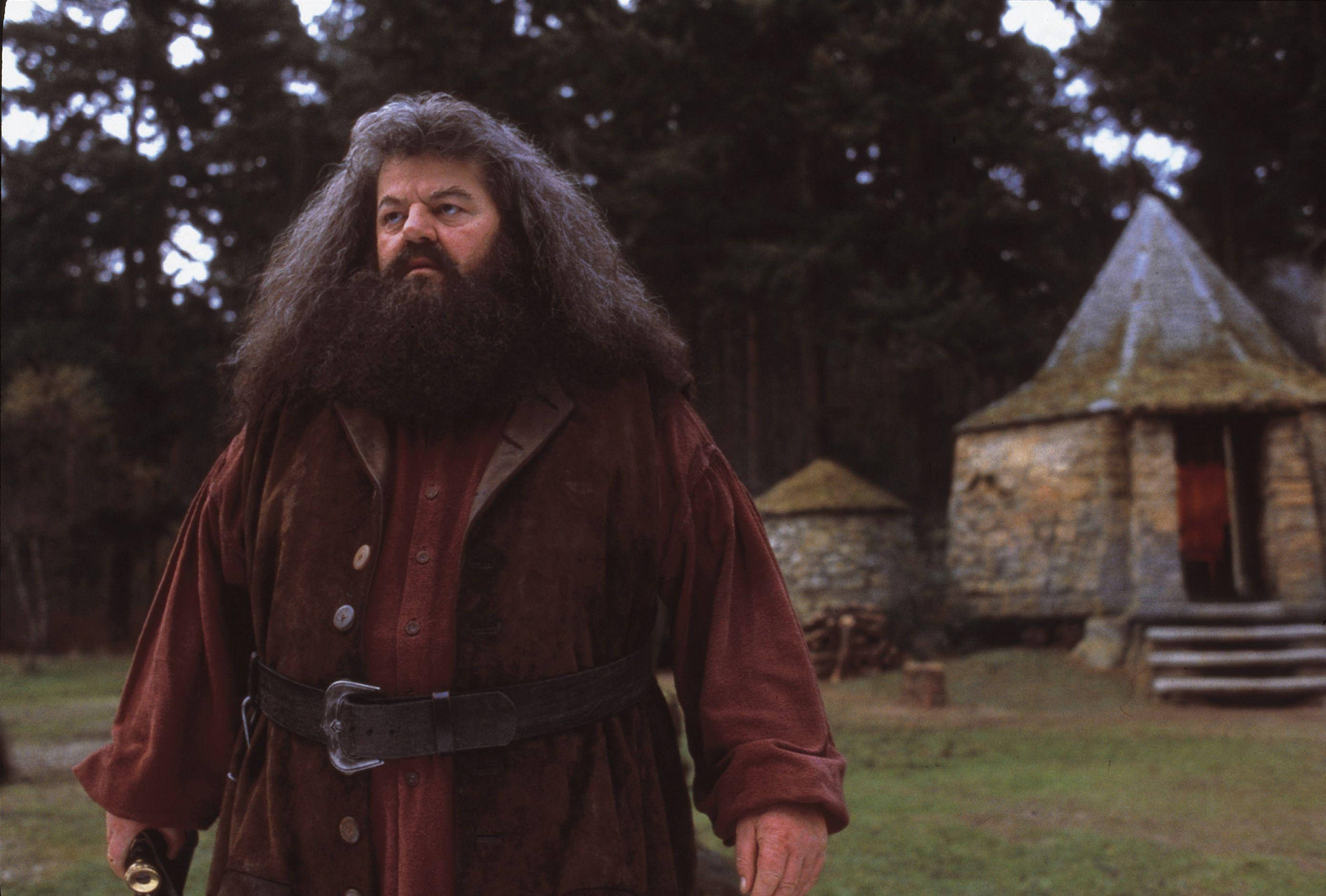 rubeus hagrid 桌布 壁紙 — 一位鬍鬚巫師身穿紅袍，站在森林空地上，附近有石屋，屋頂長滿青苔。