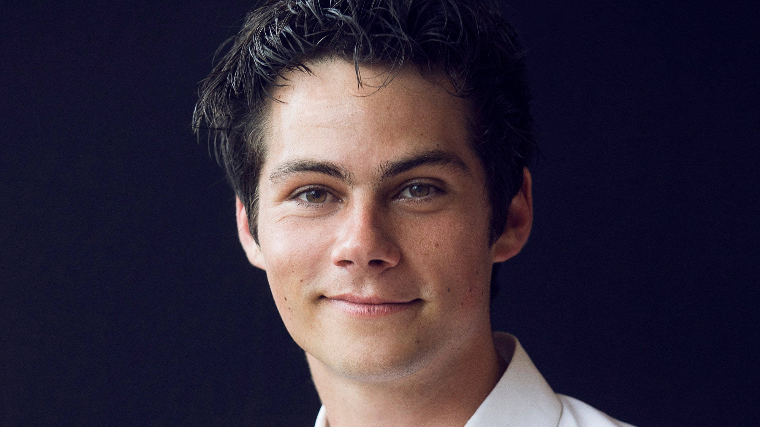 dylan 桌布 壁紙 — 一位黑髮、帶著溫柔微笑的年輕男子，身穿白色有領襯衫，背景為深海軍藍色。