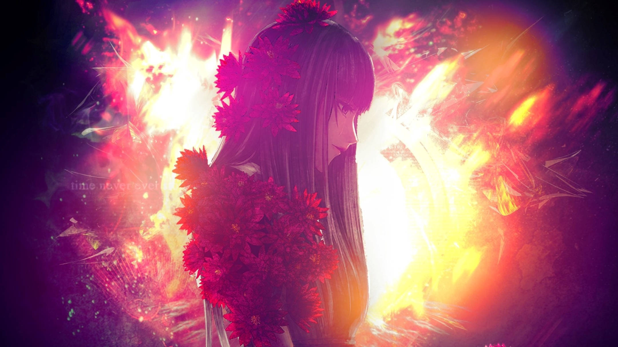 Parade 桌布 壁紙 — 一位黑髮動漫少女，飾以紅花，在熾熱的橙紫光芒中形成剪影。