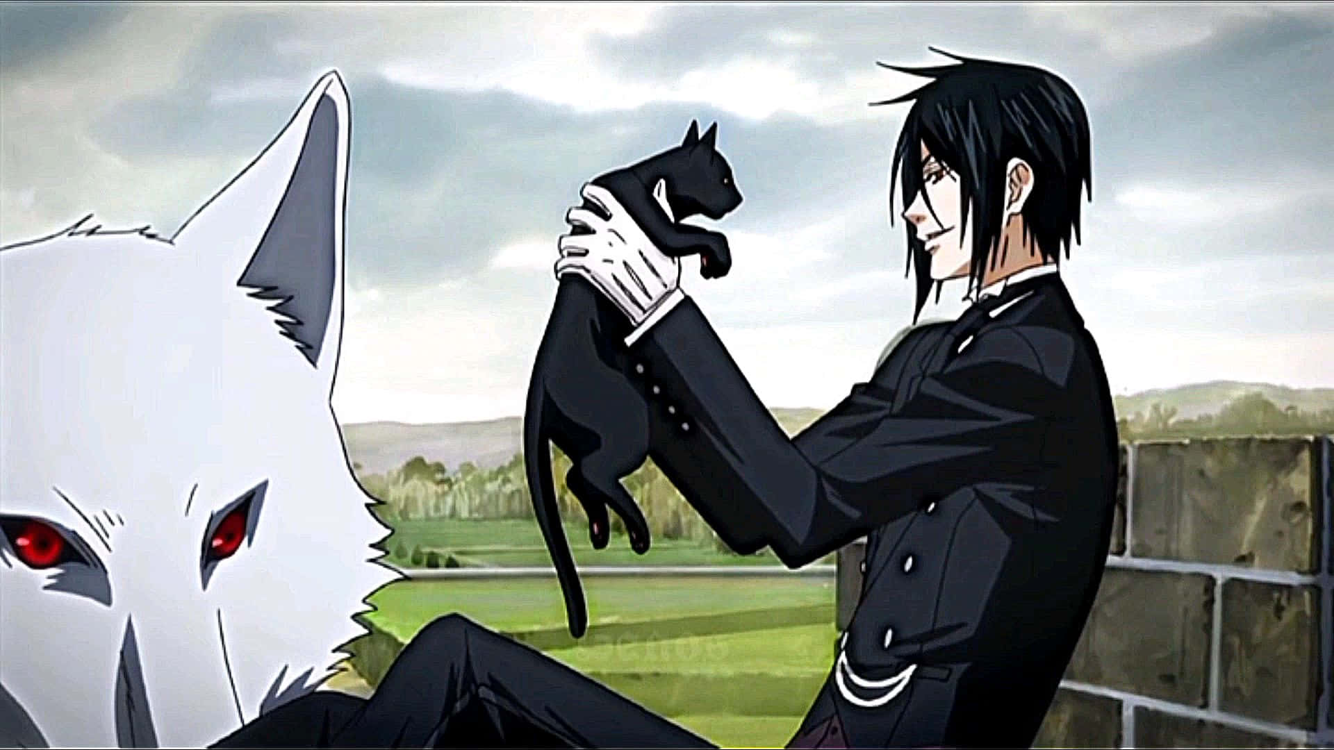 Black Butler Pluto 桌布 壁紙 — 一位黑髮動漫男子身穿黑色西裝，抱著一隻黑貓，旁邊有一隻紅眼的大白狼正專注地凝視著。