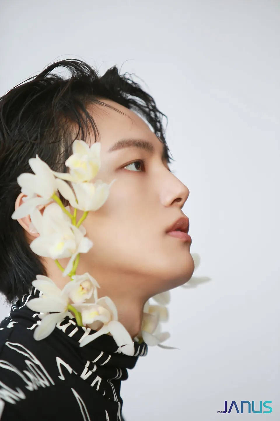 Jin 桌布 壁紙 — 一位黑髮年輕男子抬頭仰望，白色蘭花如瀑布般垂落在他肩上，背景是純白色。