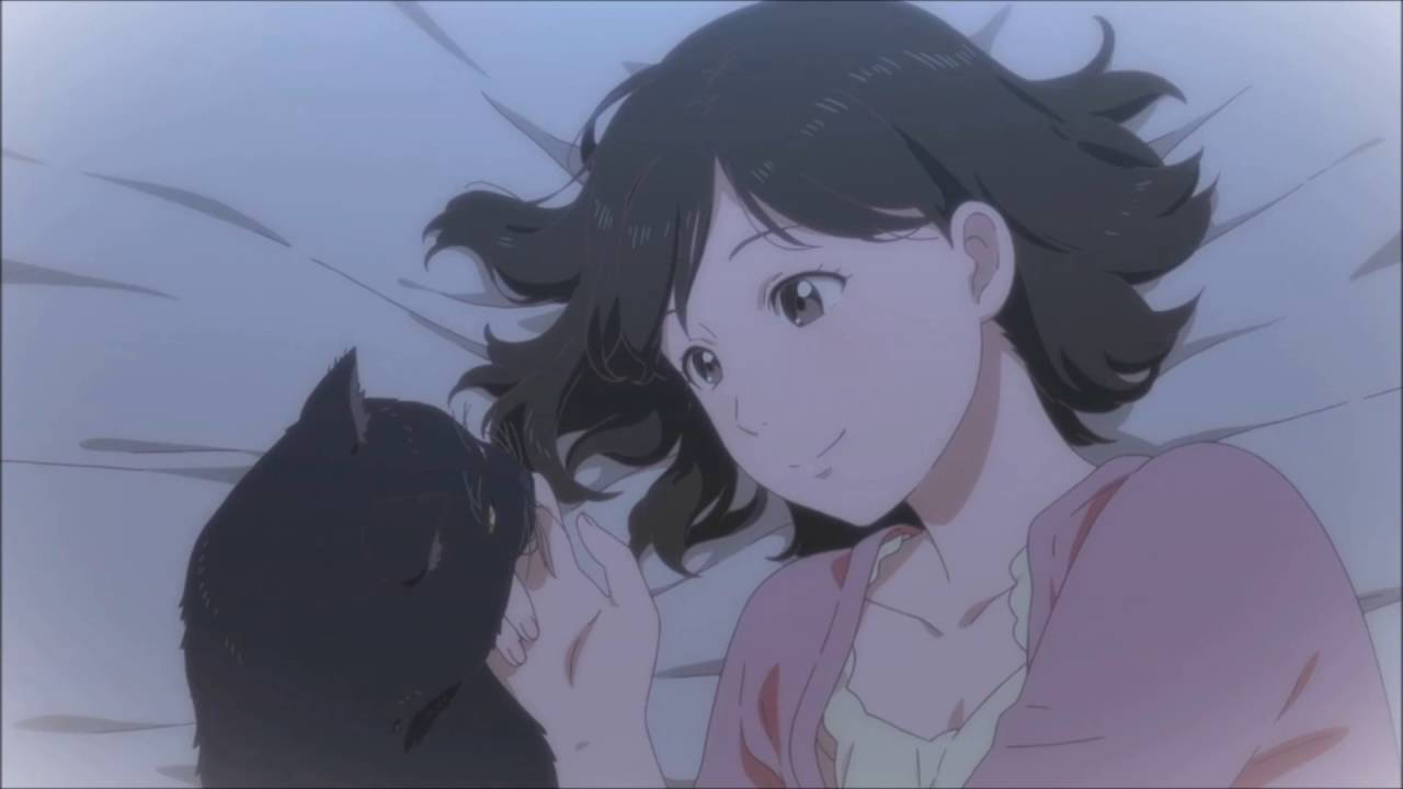 Makoto Shinkai 桌布 壁紙 — 一位黑髮的年輕動漫女孩在柔和模糊的背景中輕輕撫摸一隻黑貓。