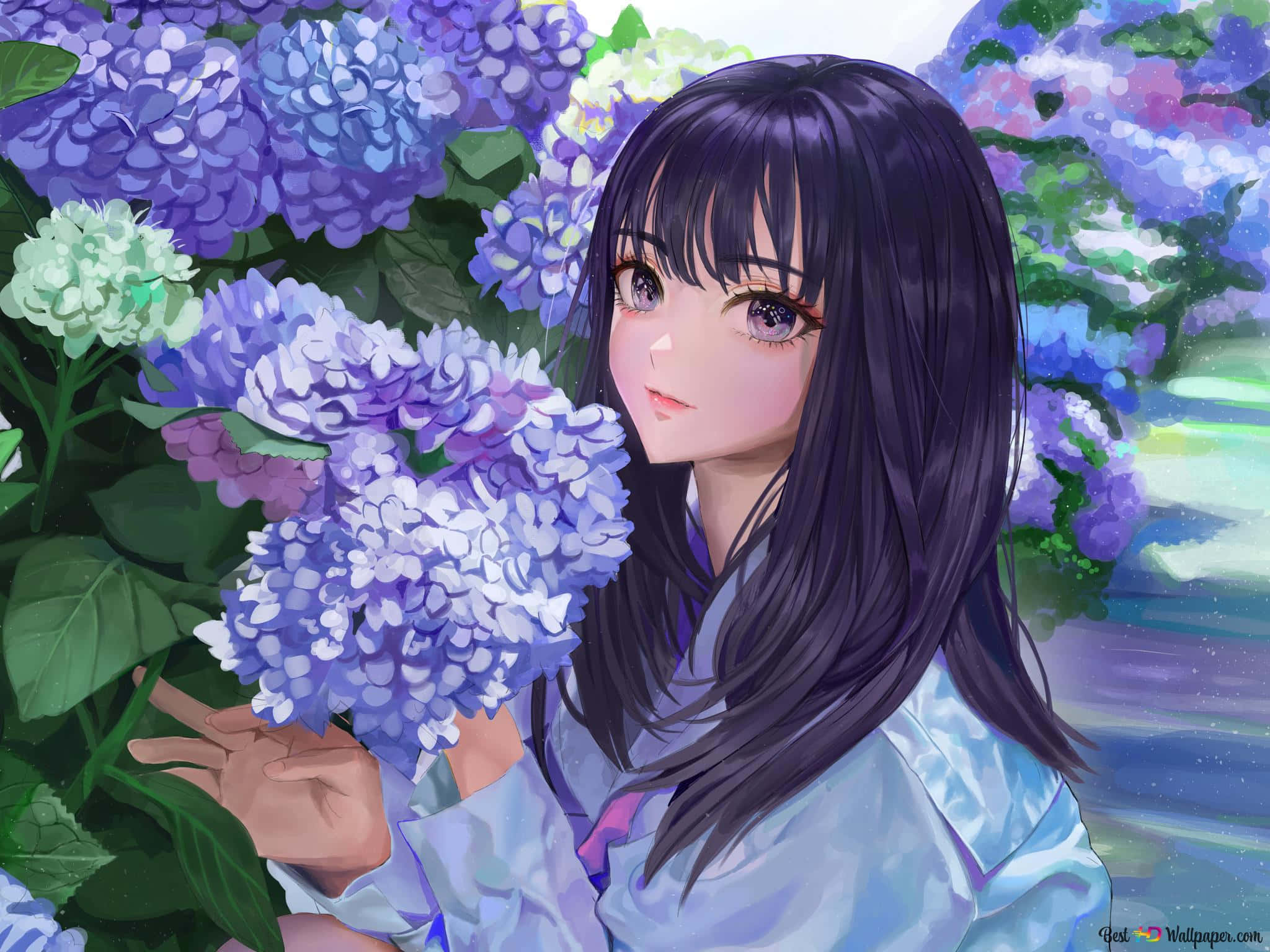 Anime Flower 桌布 壁紙 — 一位黑髮的年輕動漫女孩在茂盛的花卉背景下輕輕地抱著一簇紫色繡球花。
