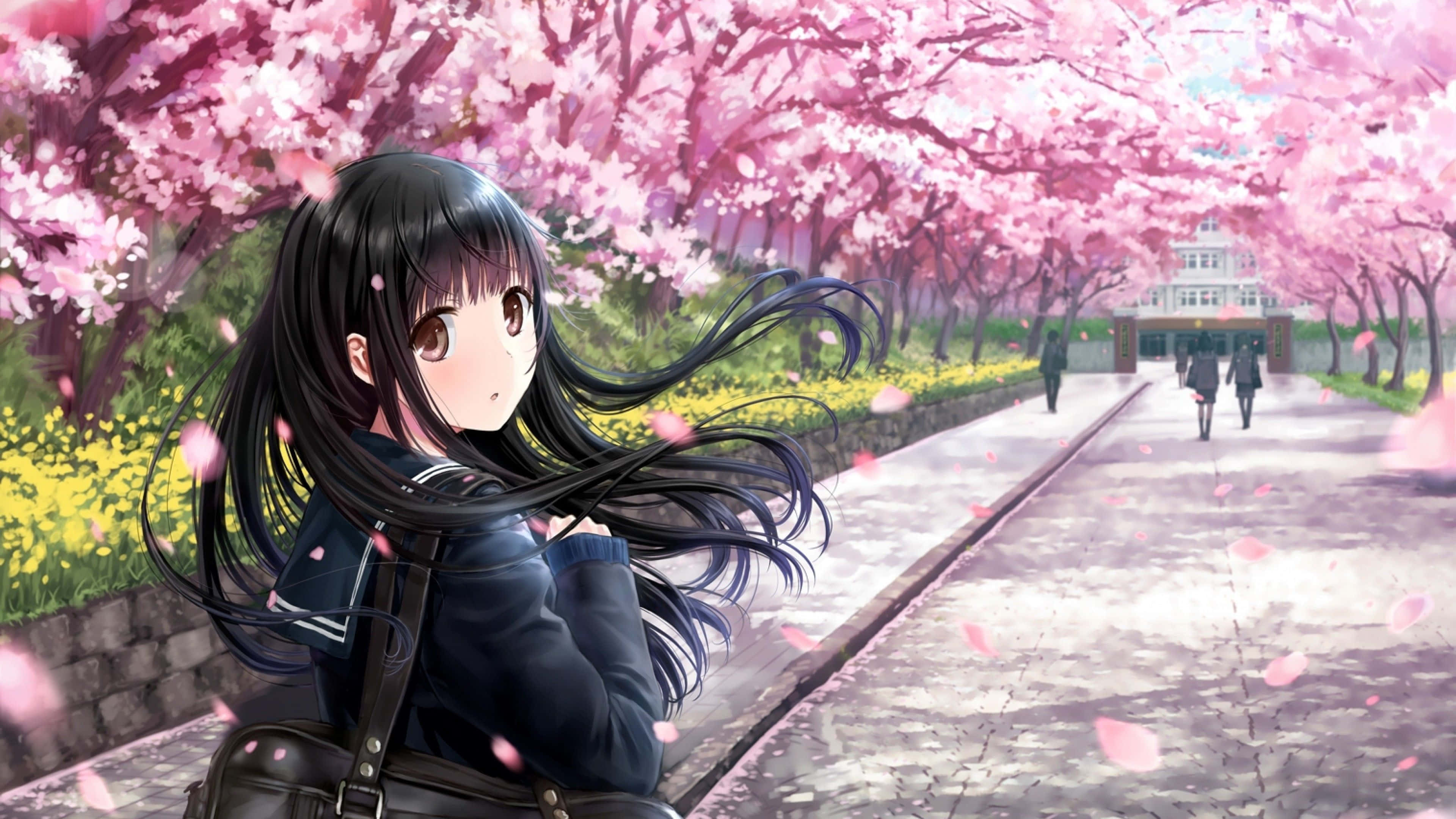 Sakura Anime 桌布 壁紙 — 一位黑髮的年輕動漫女孩站在盛開的粉紅色櫻花樹下，花瓣在空中飄舞。