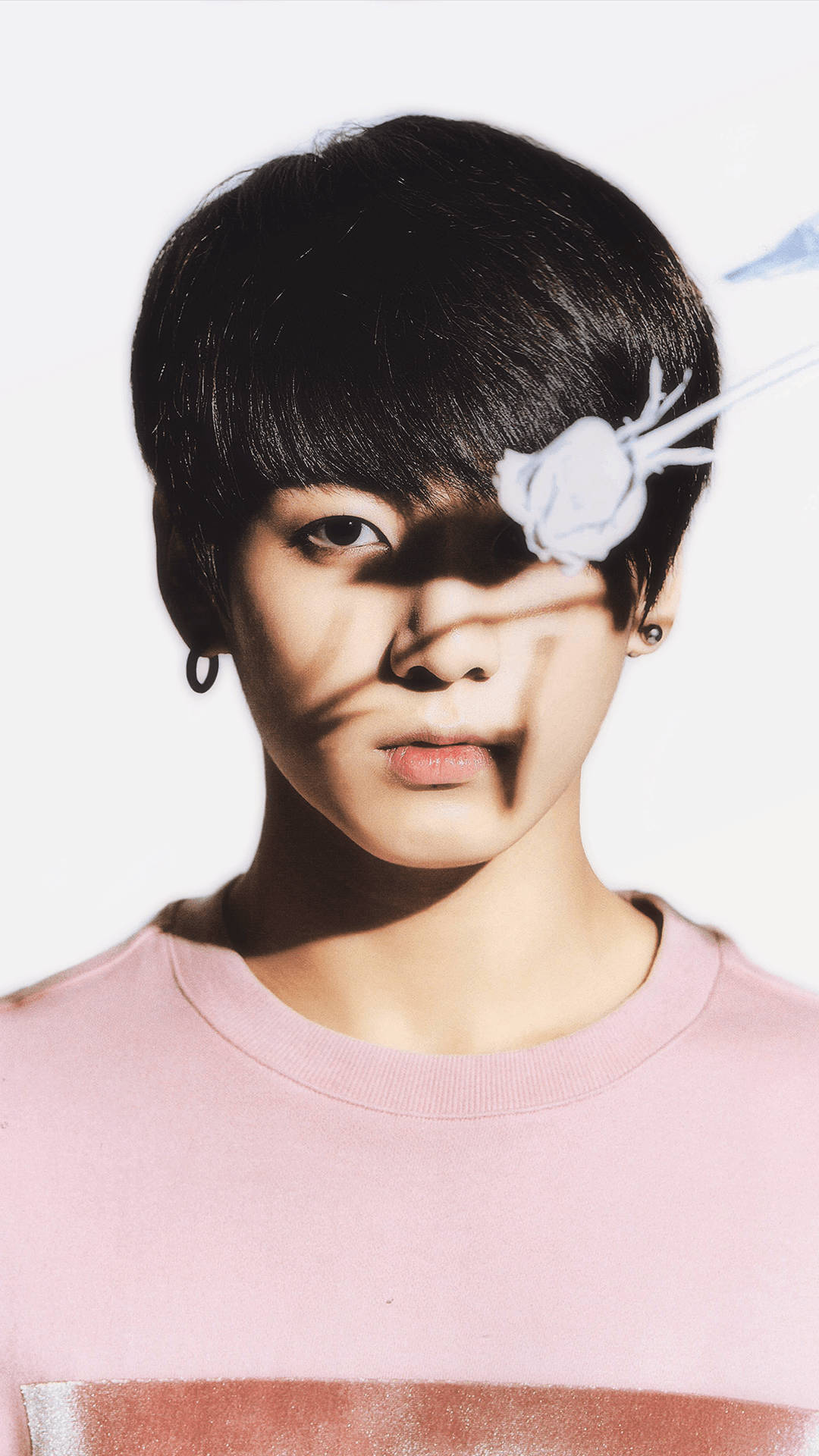 Jungkook Aesthetic 桌布 壁紙 — 一位黑髮粉紅色襯衫的年輕男子，在明亮的白色背景下，臉上有一朵白玫瑰和陰影。