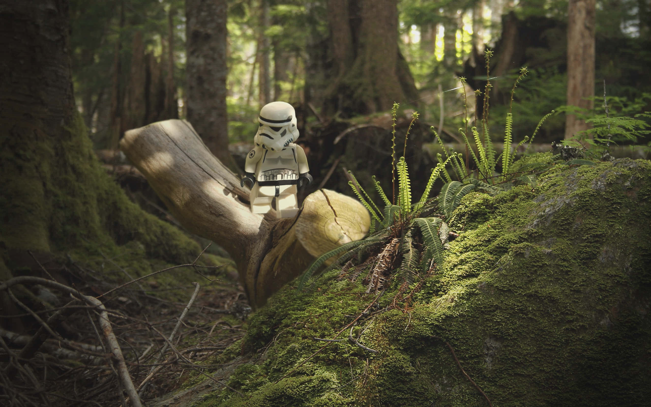 Endor 桌布 壁紙 — 一個 LEGO 風暴兵站在長滿苔蘚的木頭上，身處陽光斑駁、蕨類植物和參天大樹的森林中。