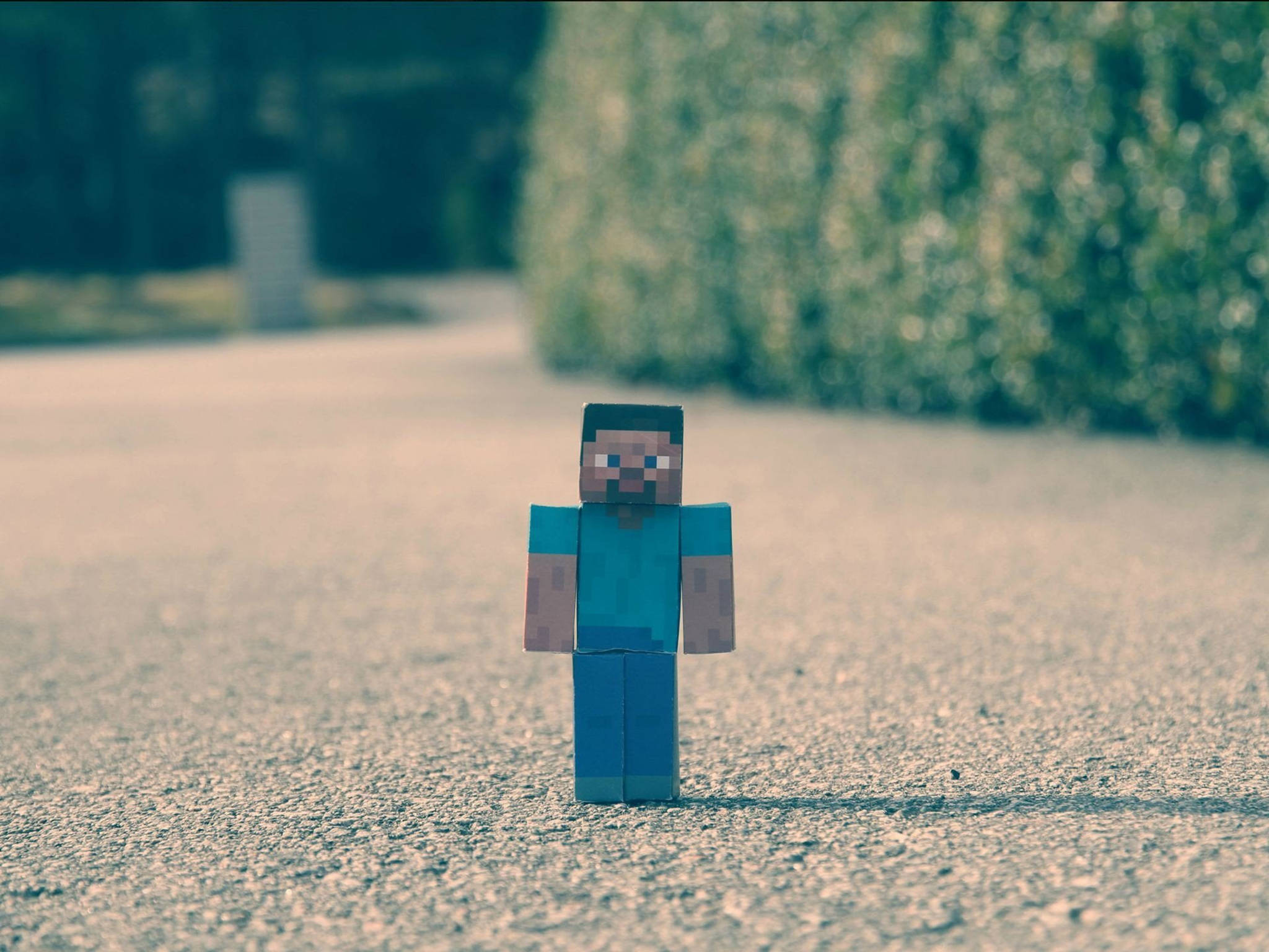 我的世界 史蒂夫 桌布 壁紙 — 一個 Minecraft Steve 人偶獨自站在碎石路上，背景是模糊的綠色樹籬。