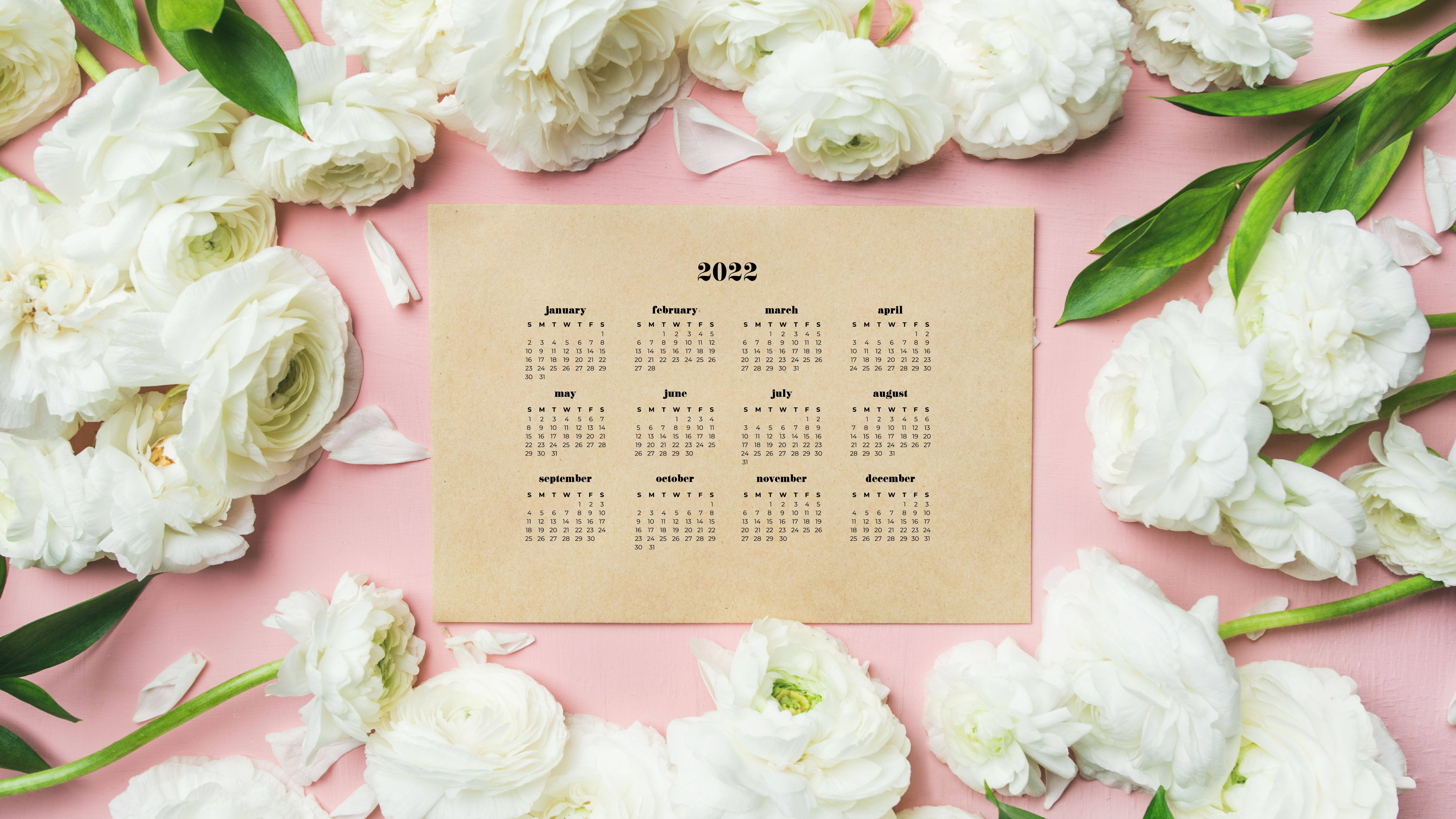 Calendar 桌布 壁紙 — 一個2022年年曆放在柔軟的粉紅色表面上，周圍環繞著新鮮的白色毛茛花和綠葉。