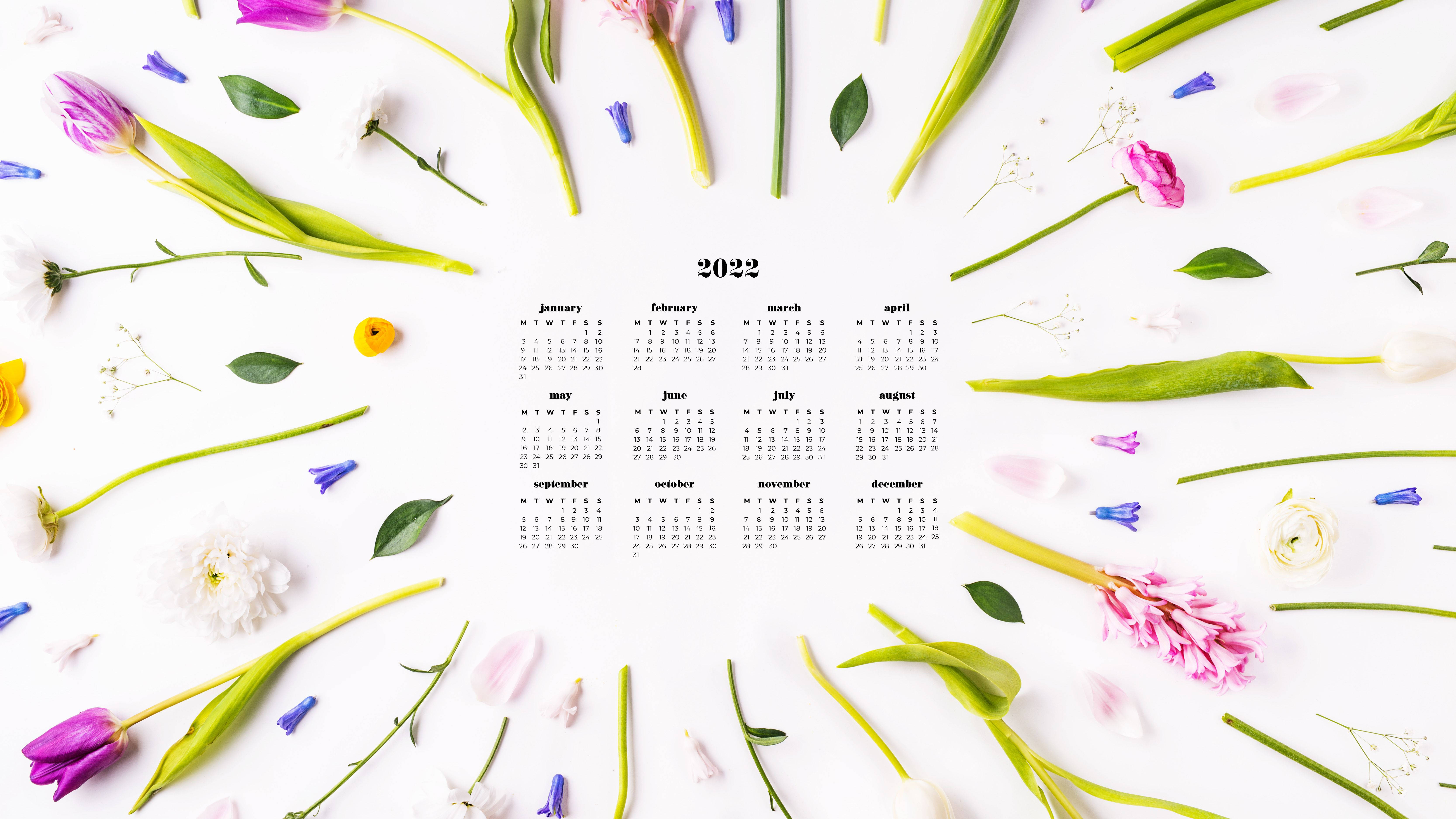 Calendar 桌布 壁紙 — 一個2022年年曆置於白色表面中央，周圍散落著色彩繽紛的鬱金香和綠色莖幹。