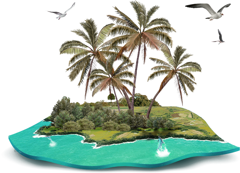 島嶼 桌布 壁紙 — 一個3D渲染的熱帶島嶼，有棕櫚樹和碧綠海水，海豚跳躍，海鷗在黑色背景上翱翔。