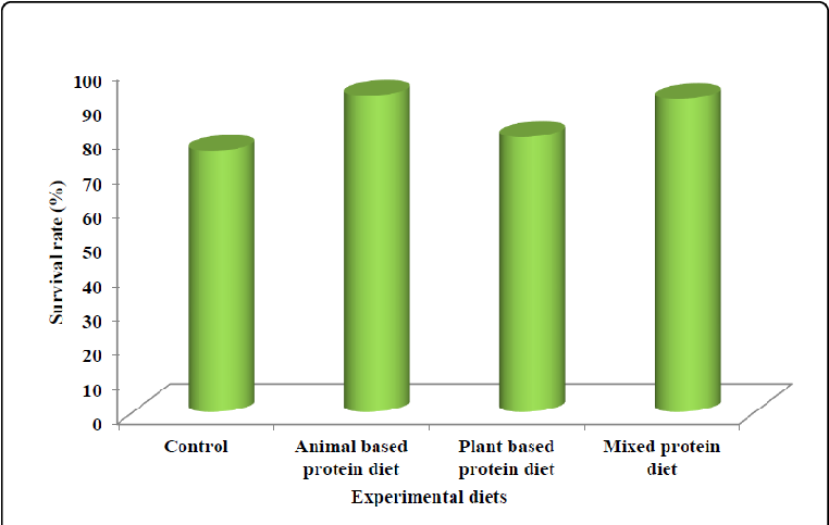Bar Graph 桌布 壁紙 — 一個3D長條圖顯示四種實驗性飲食的存活率百分比，綠色長條在白色背景上。