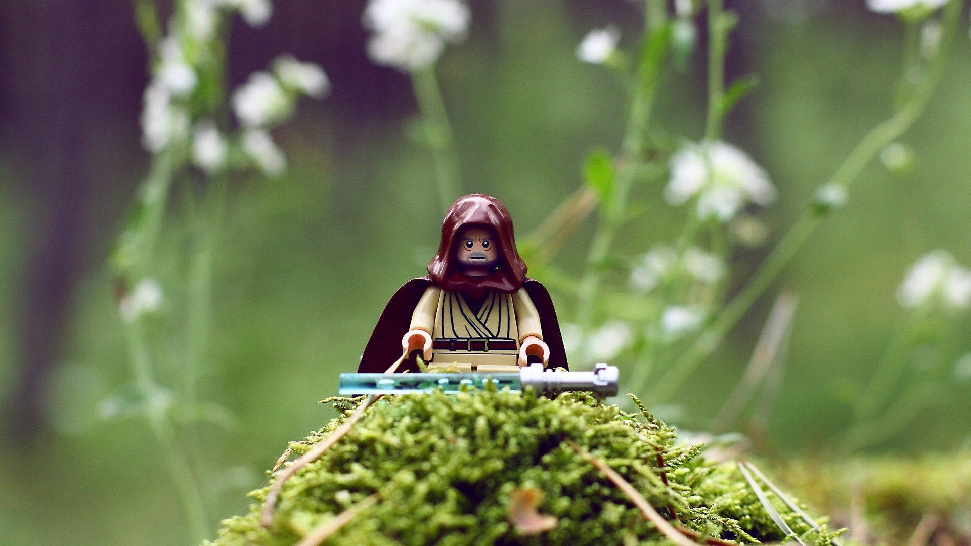 星際大戰 桌布 壁紙 — 一個LEGO Jedi迷你人偶坐在長滿苔蘚的石頭上，周圍是柔軟的白色花朵，在茂密的綠色森林中。