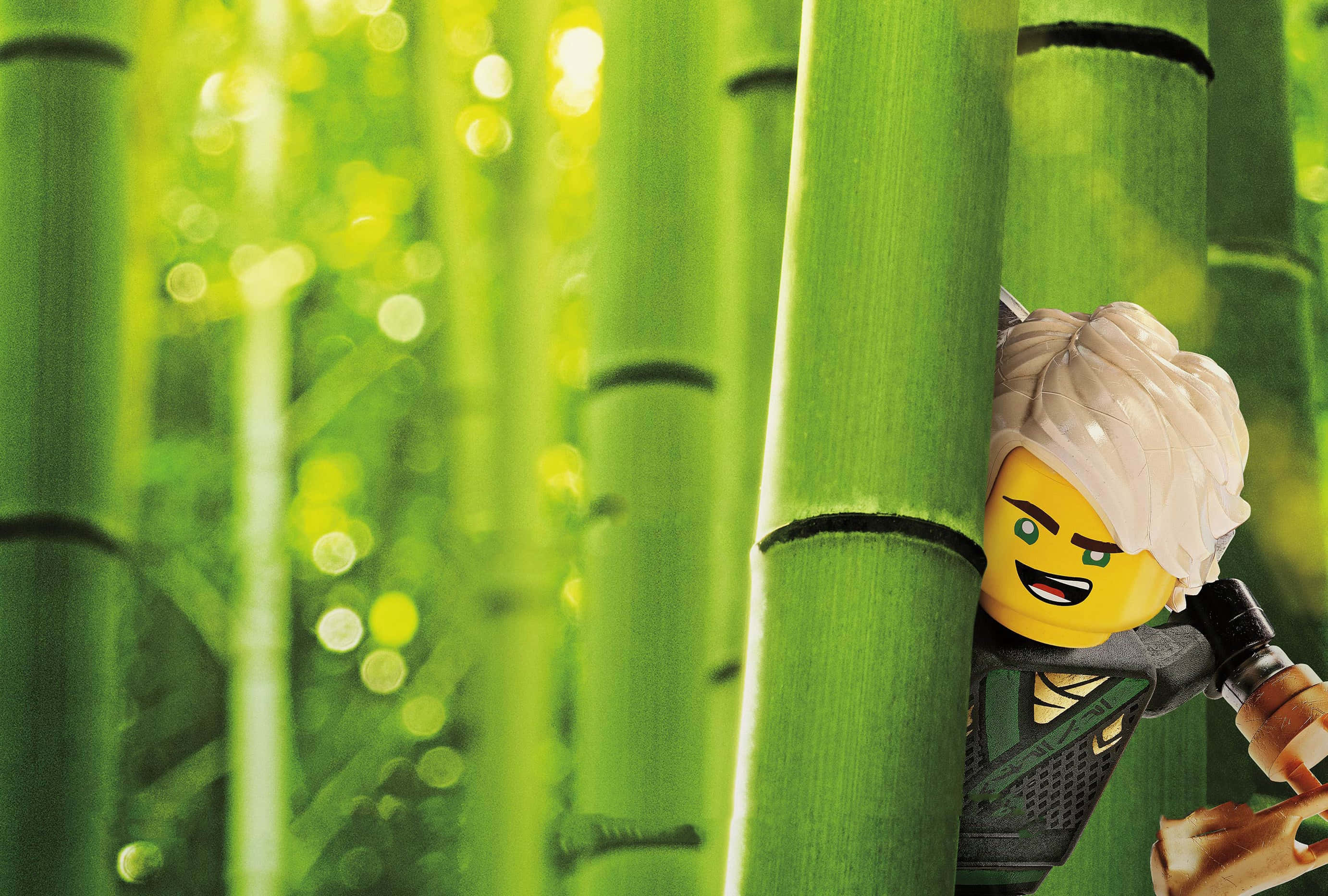 Animated 桌布 壁紙 — 一個LEGO Ninjago角色從充滿活力的綠色竹莖後面窺視，陽光透過竹葉照射進來。