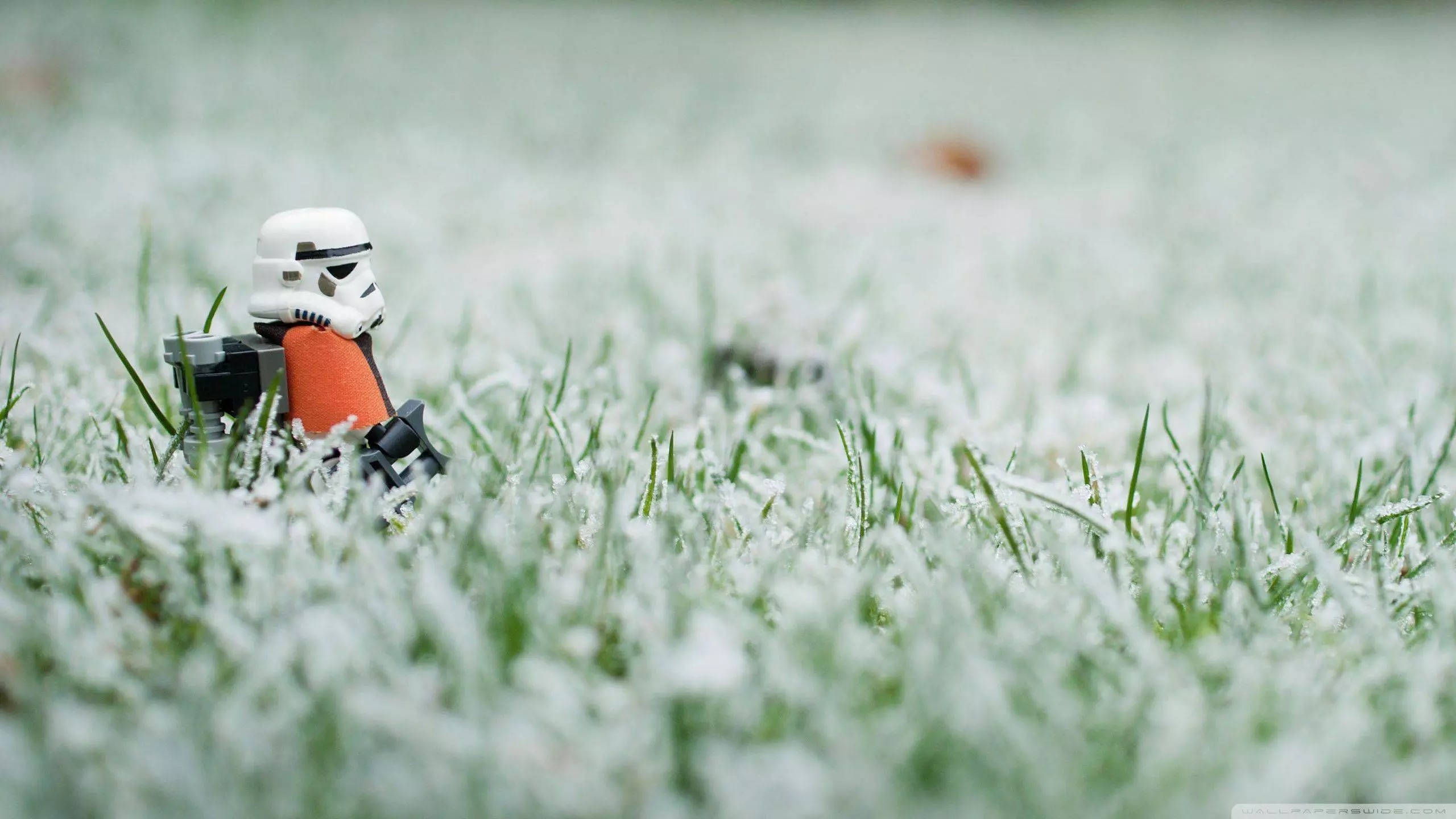 Stormtrooper 桌布 壁紙 — 一個LEGO白兵獨自站在霜覆蓋的草地上，柔和日光下。