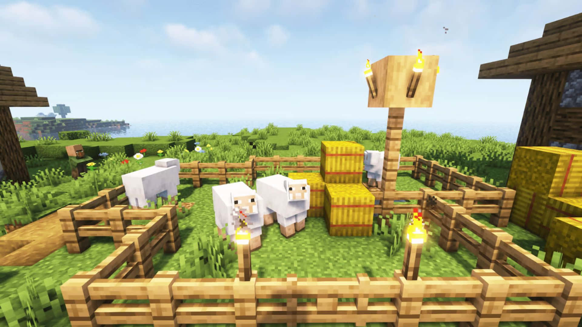 Minecraft Sheep 桌布 壁紙 — 一個Minecraft農場，像素化的羊在木柵欄內吃草，旁邊有乾草捆和火把，天空清澈湛藍。